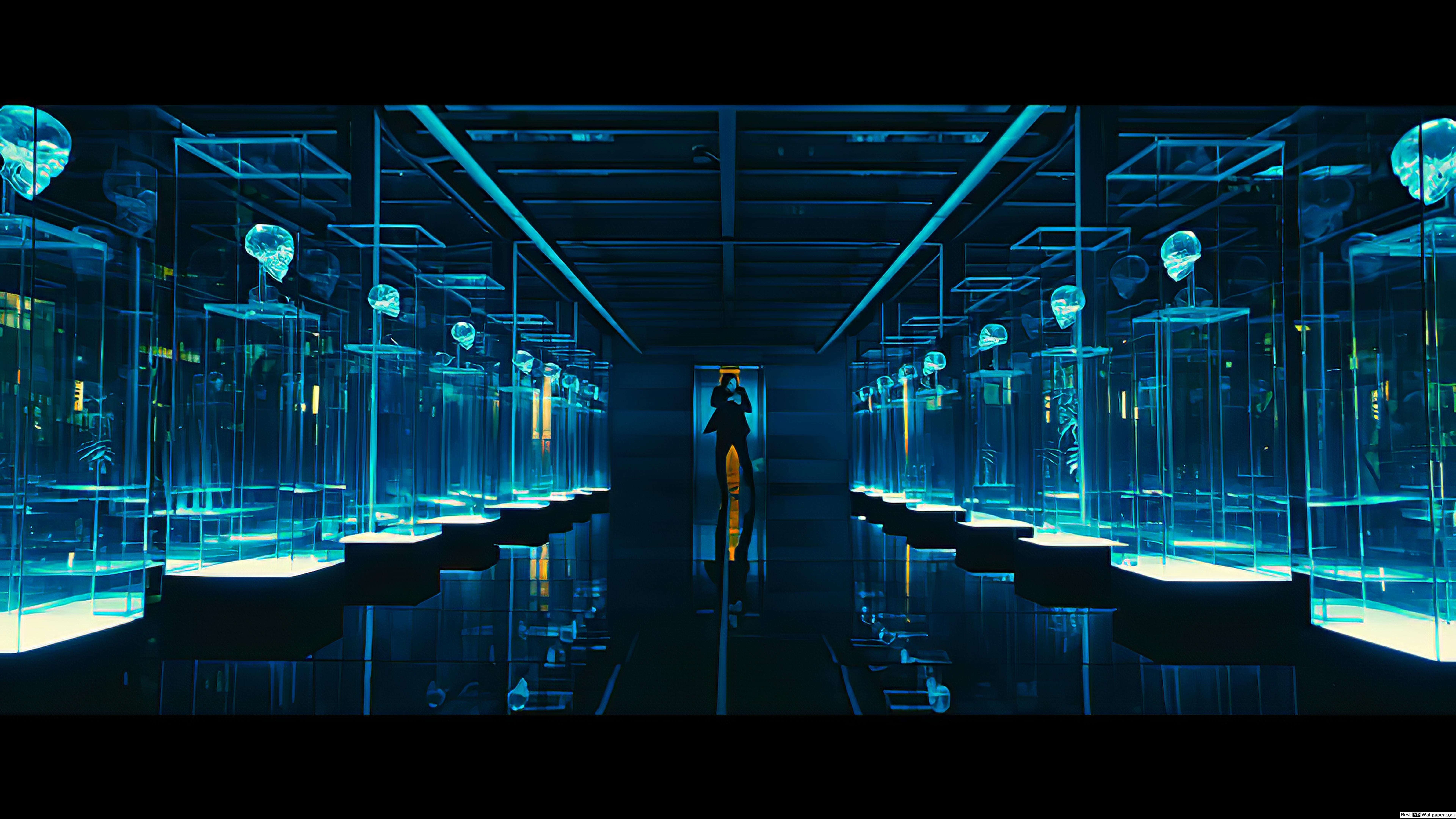 7680x4320 John Wick: Chapter 3 2 HD wallpaper download