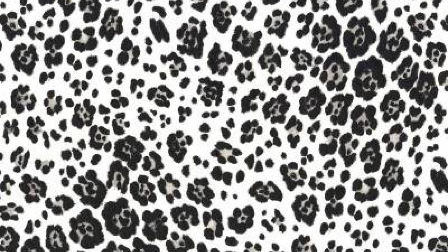 White Leopard Print Wallpapers Top Free White Leopard Print