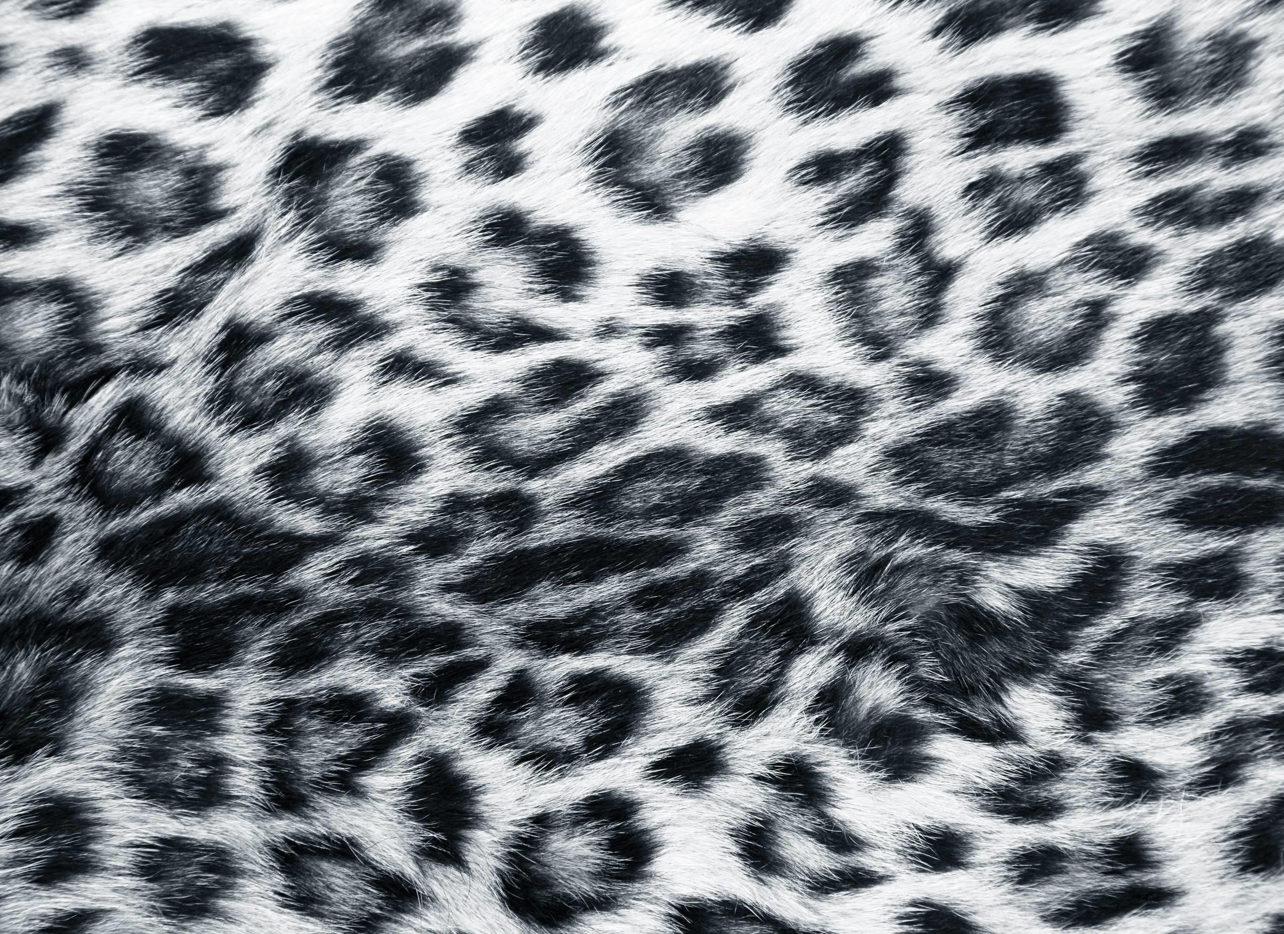 2594x1888 Leopard Wallpaper Grey Leopard Print Wallpaper Leopard Fur Background