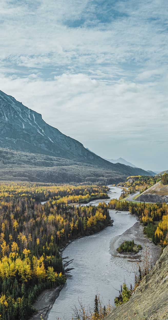 655x1247 Beautiful landscape tree, mountains & river Wallpaper
