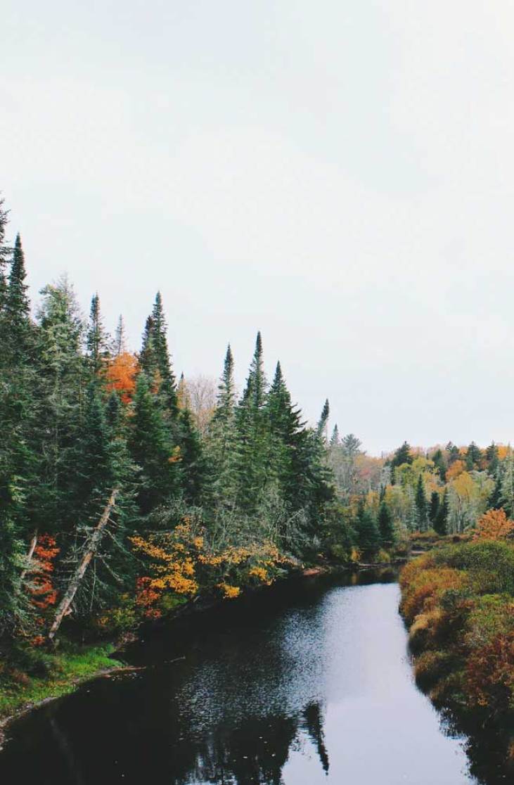 731x1116 Beautiful autumn landscape image Wallpaper