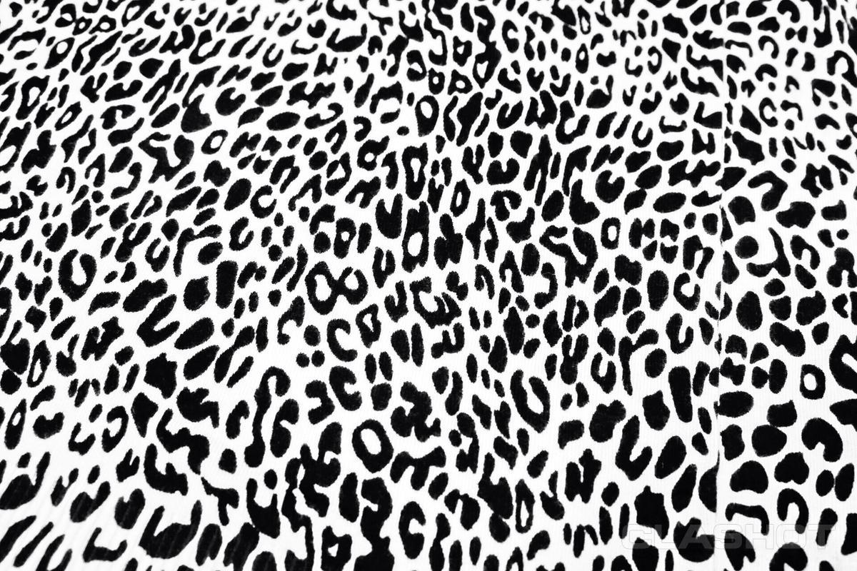 White Leopard Print Wallpapers Top Free White Leopard Print