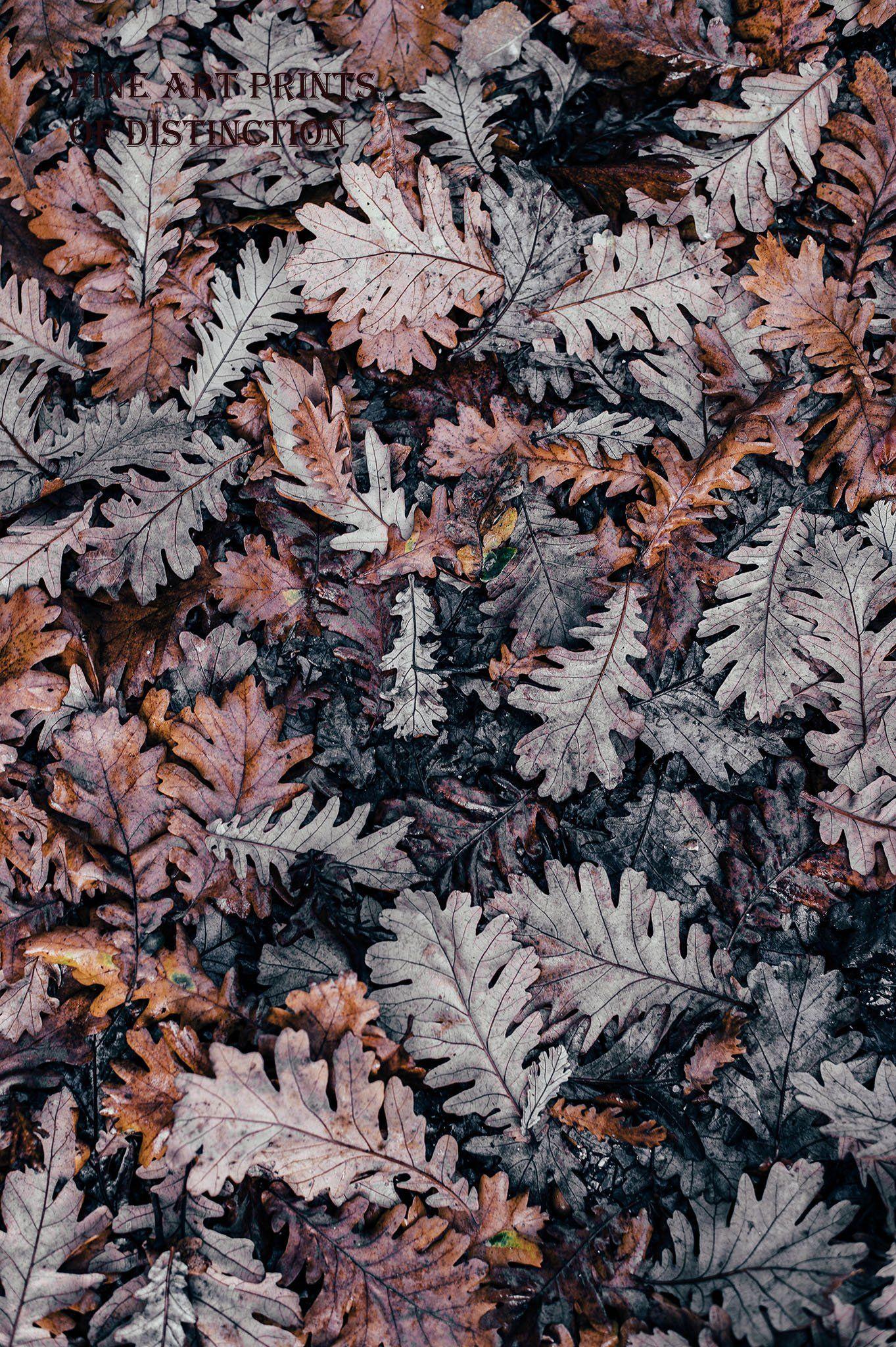 1363x2048 Brown and Gray Fall Oak Leaves Art Print. Fall wallpaper, Preppy wallpaper, Oak leaf art