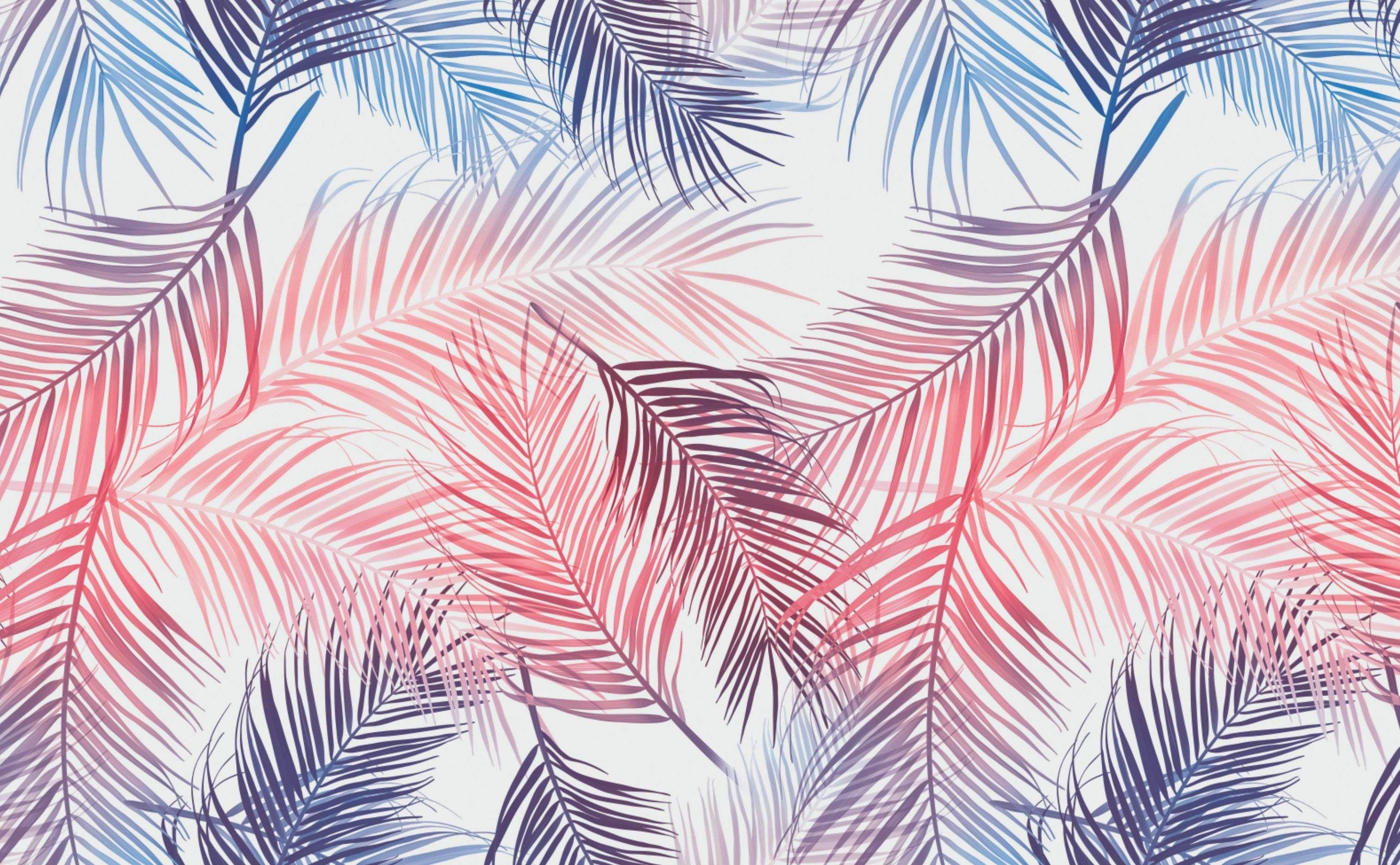 3028x1872 Rainbow Palms. Palm leaf wallpaper, Rainbow wallpaper, Wallpaper