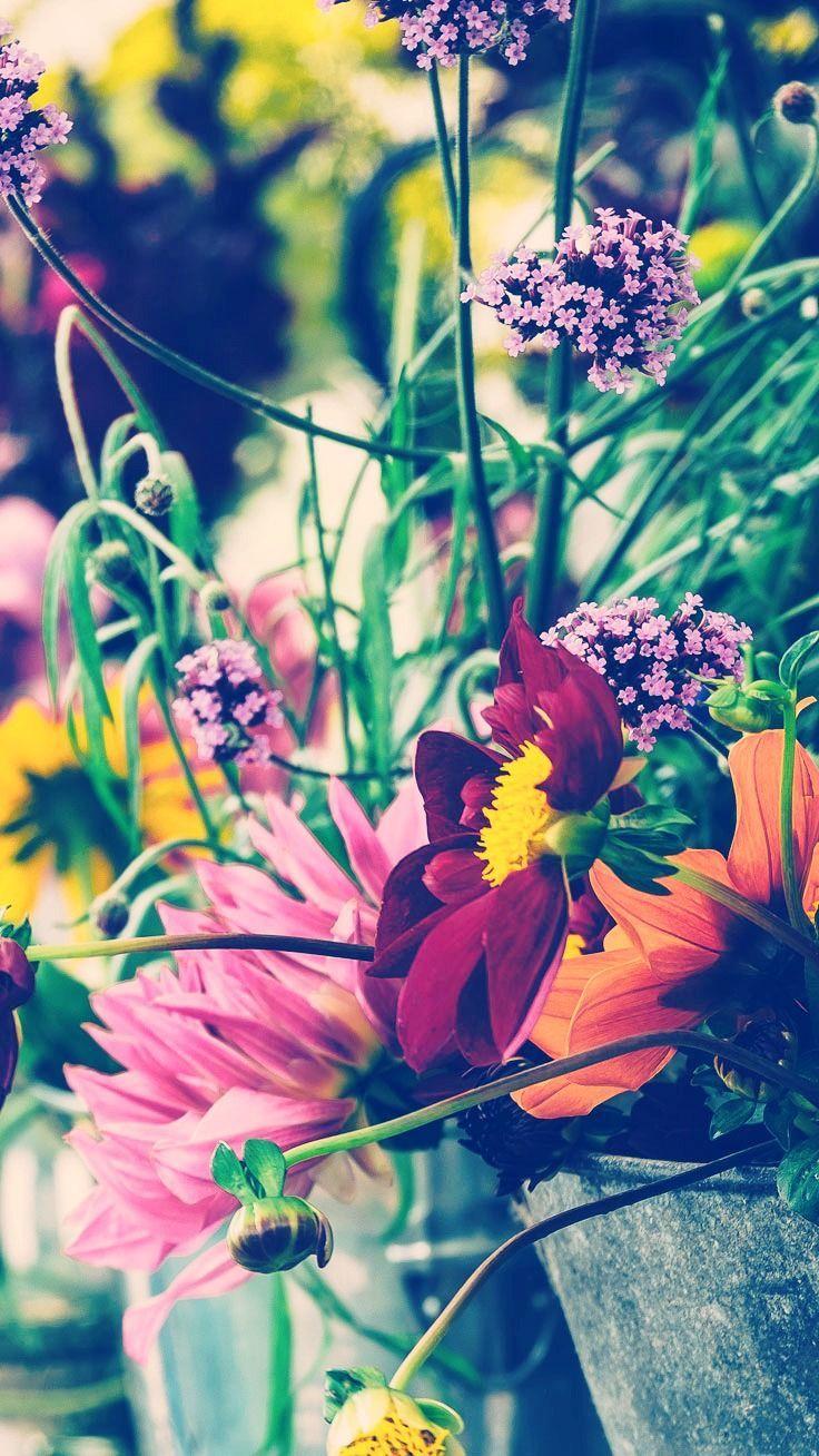 736x1308 Floral iPhone 7 Plus Wallpaper for a Sunny Spring. Preppy Wallpaper. iPhone 7 plus wallpaper, Spring wallpaper, 7 plus wallpaper