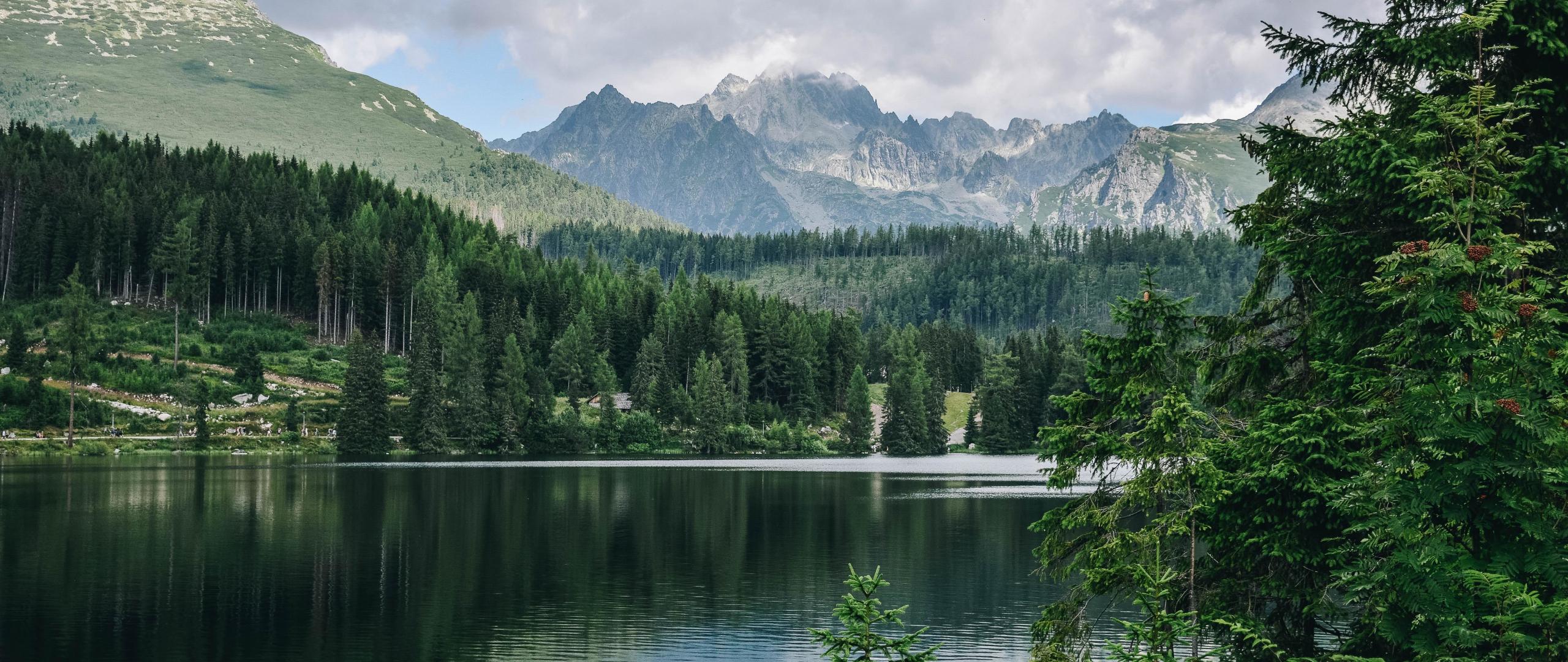 2560x1080 Download 2560x1080 wallpaper lake, green trees, adorable, forest, nature, dual wide, widescreen, 2560x1080 HD image, background, 22123
