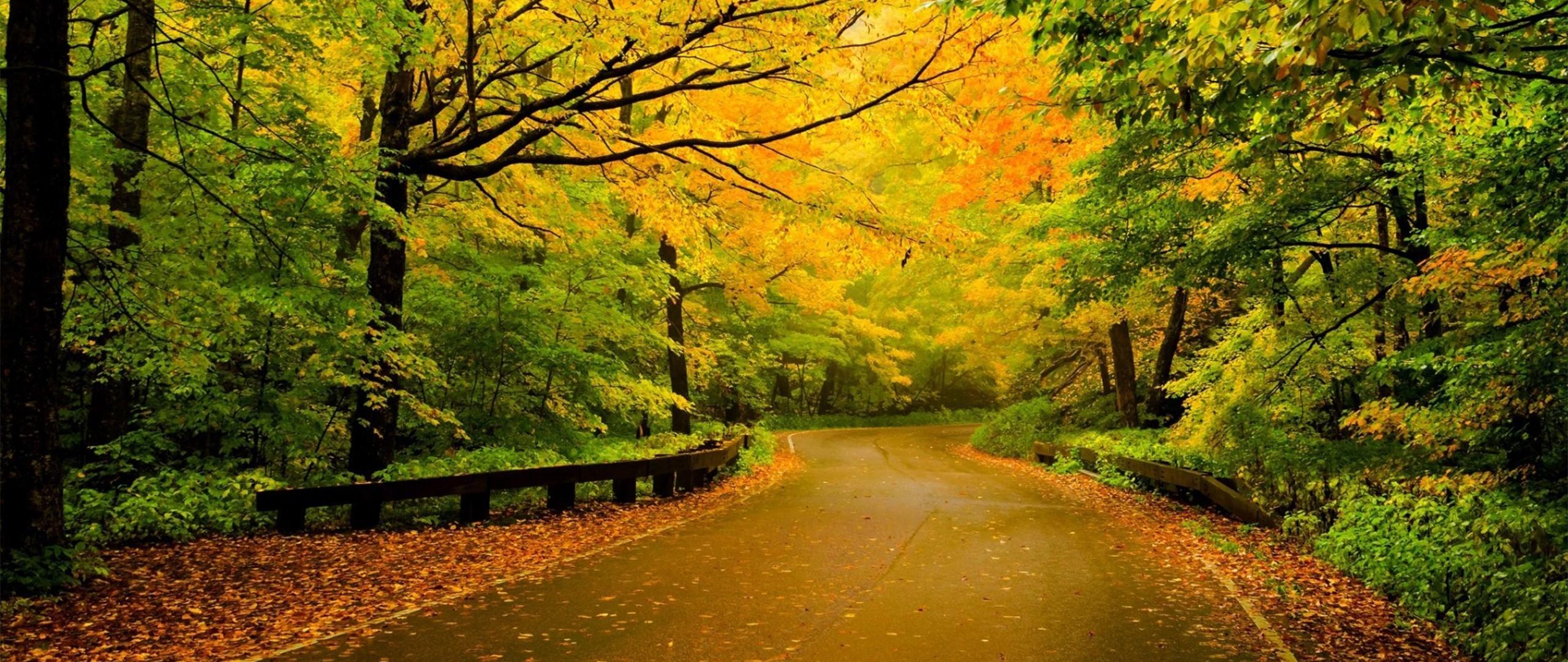 2560x1080 4k Wallpaper Ultrawide Nature HD Wallpaper