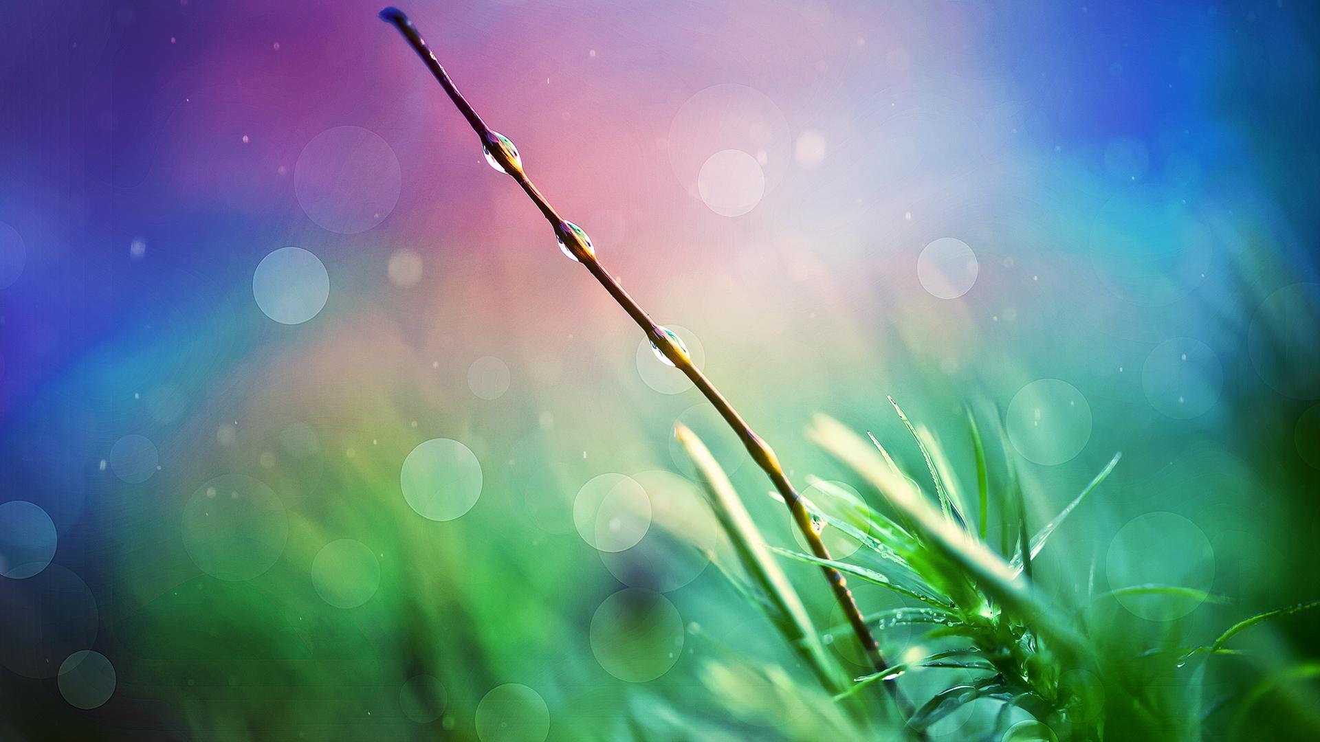 1920x1080 Wallpaper PC, Wallpaper, Free HD Desktop Wallpaper: Nature Heaven
