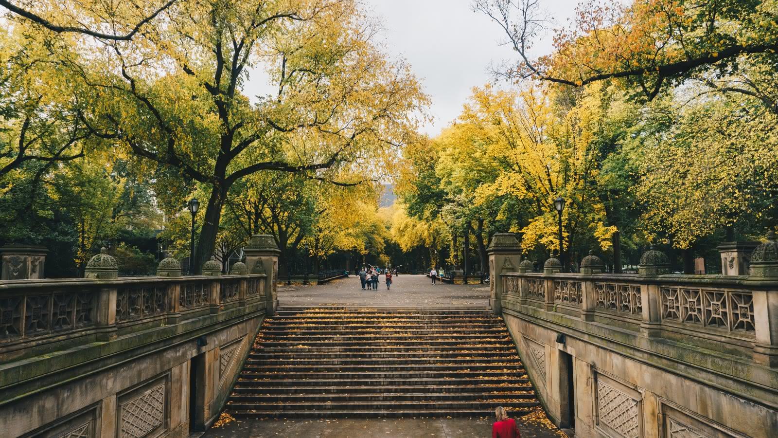 1600x900 New York Central Park Tour. SANDEMANs NEW Europe