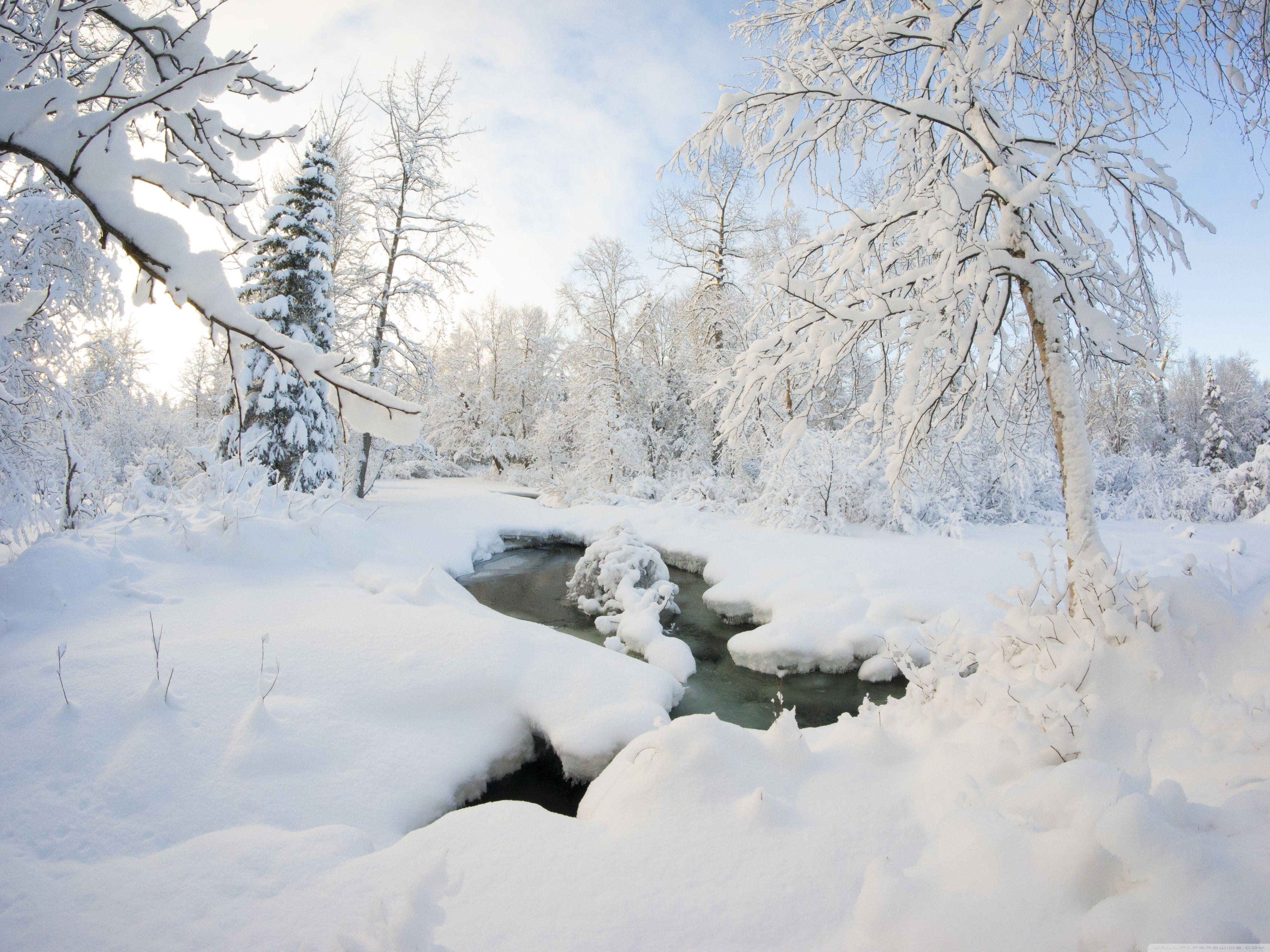 4096x3072 Winter, Alaska ❤ 4K HD Desktop Wallpaper for 4K Ultra HD TV • Wide