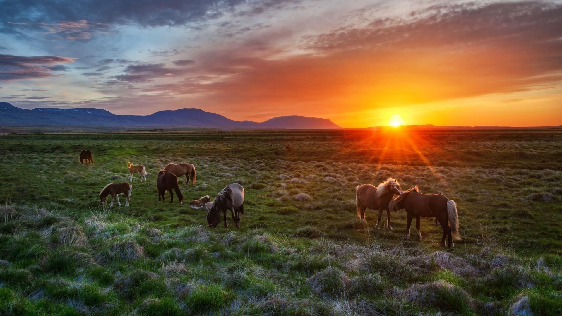 1920x1080 Beautiful Iceland Wallpaper 36444 1920x1080px