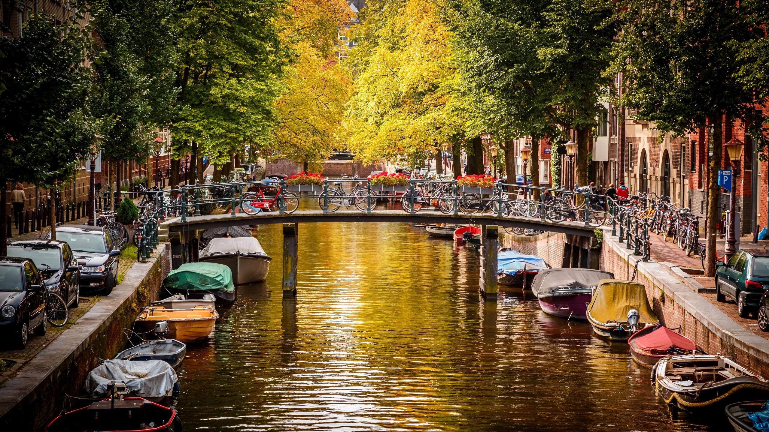 2560x1440 Download wallpaper autumn, water, trees, machine, bridge, the city, river, street, boats, Amsterdam, channel, Netherlands, Amsterdam, bikes, Nederland, section city in resolution 2560x1440