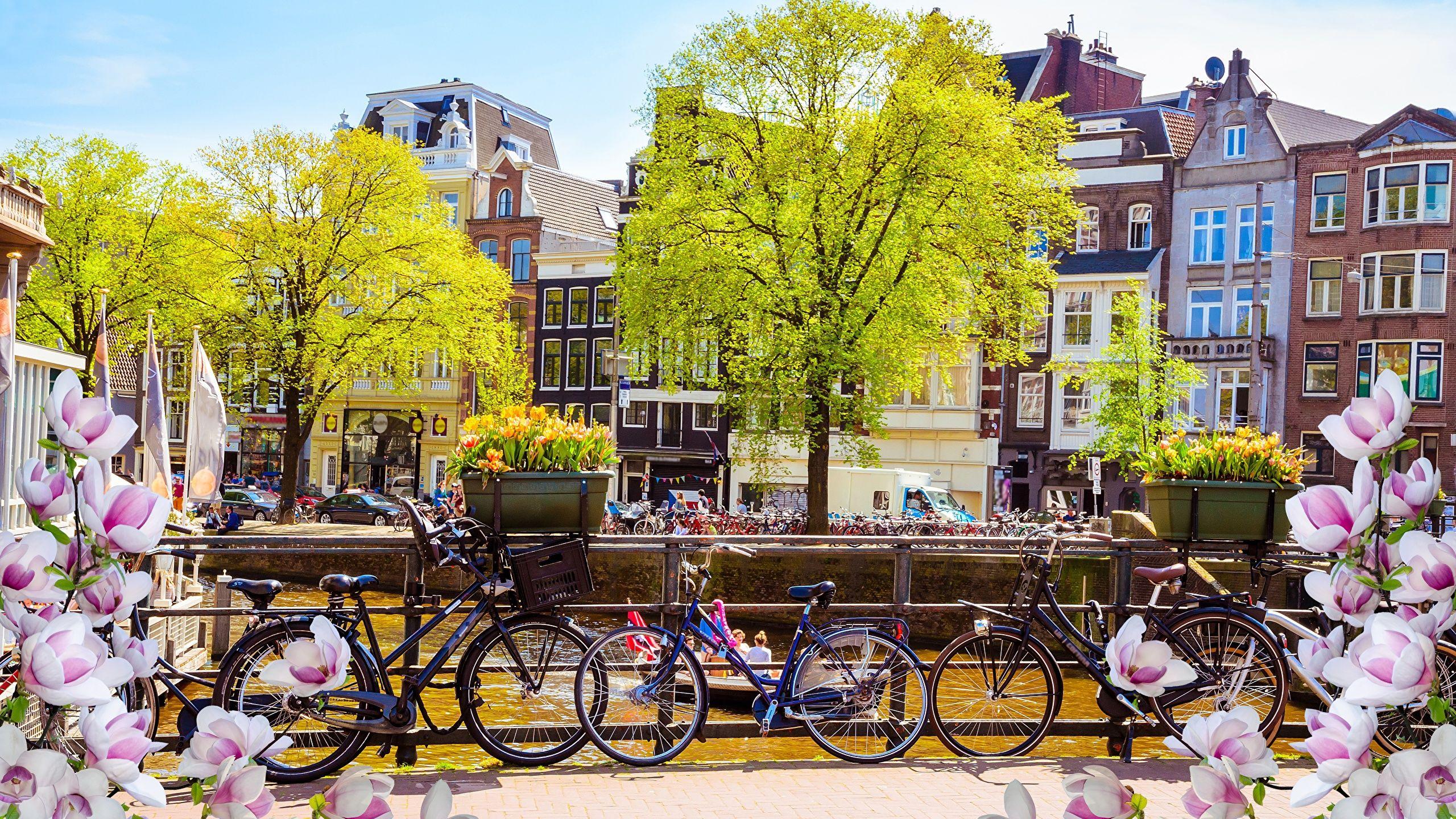 2560x1440 Spring Amsterdam Wallpaper