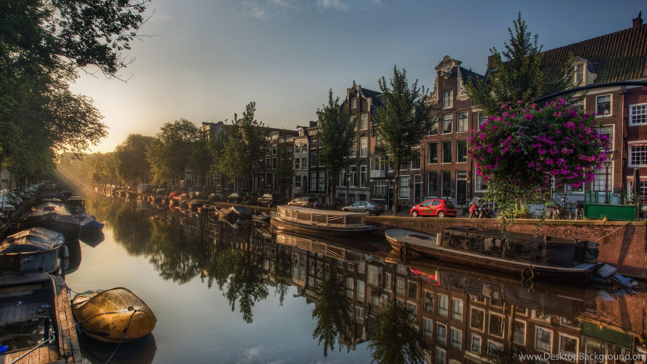 2560x1440 Amsterdam HD Wallpaper Desktop Background