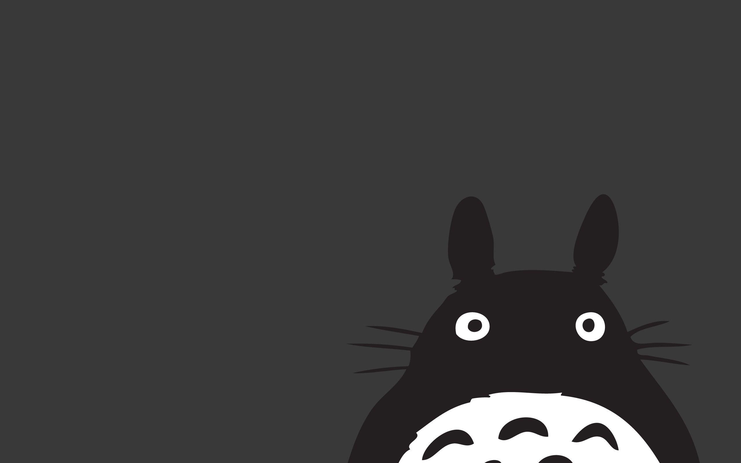 2560x1600 Totoro Wallpaper HD background picture