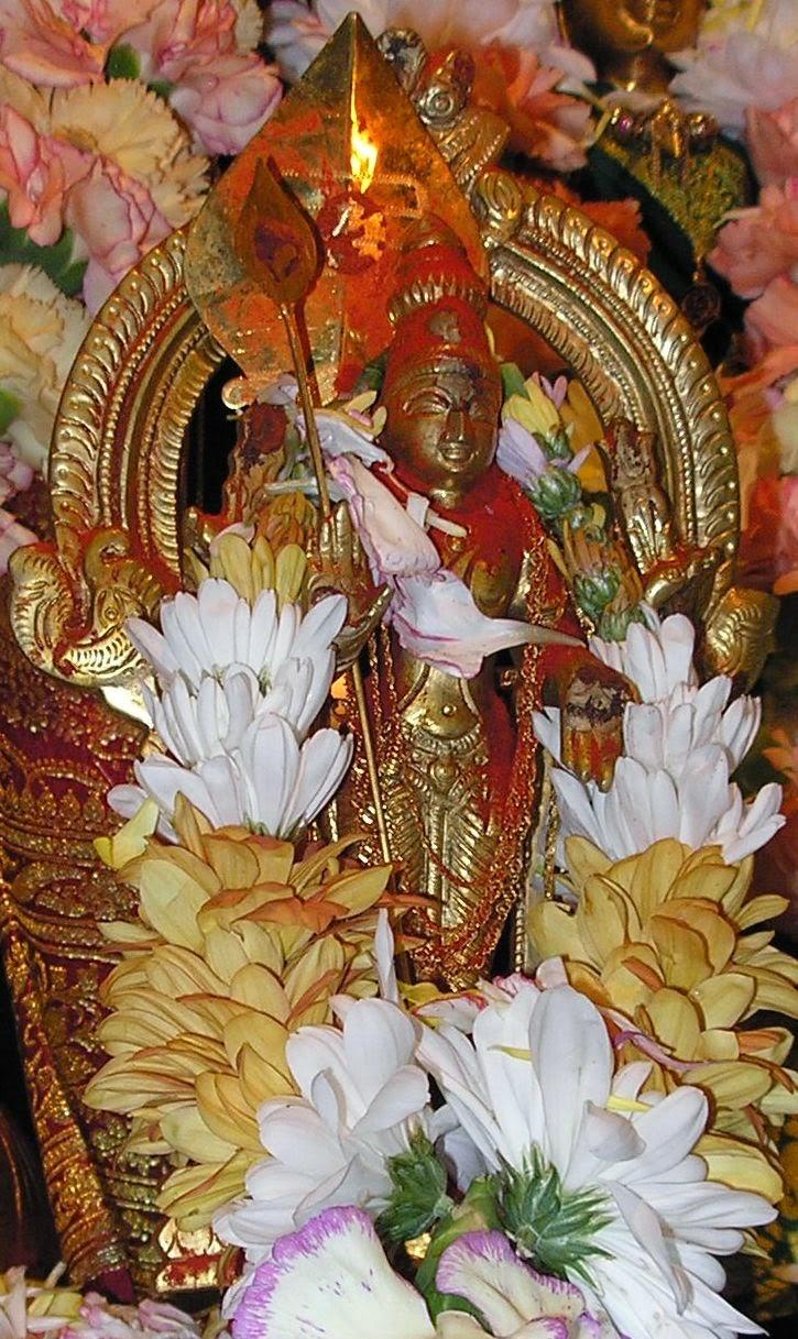 725x1217 Lord Murugan Beautiful