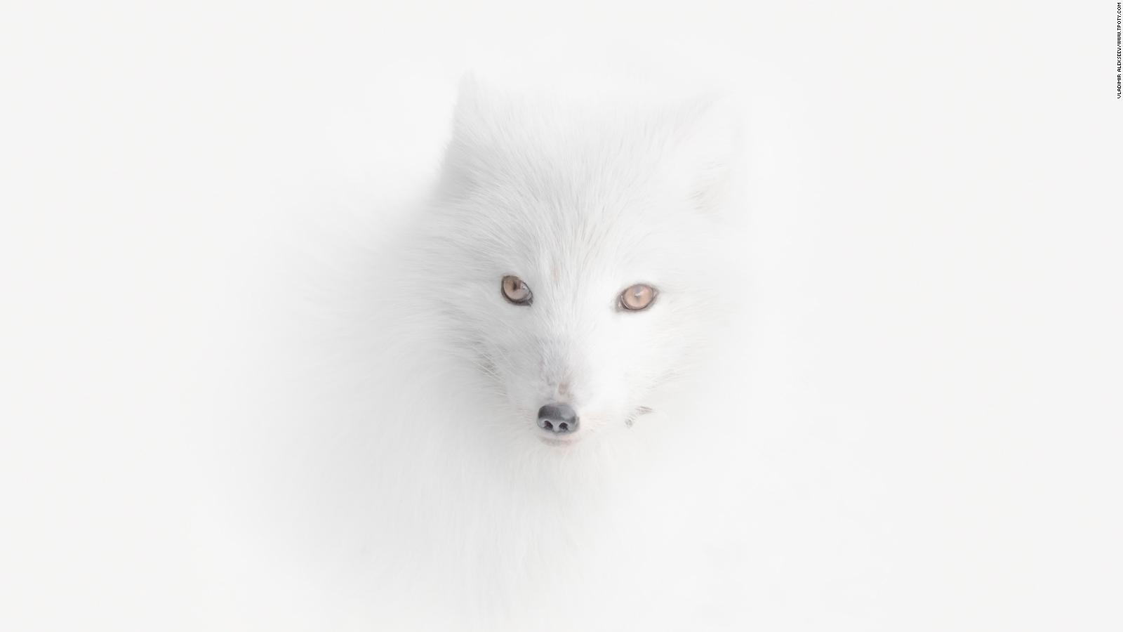 1600x900 Travel Photographer of the Year 2020 picture