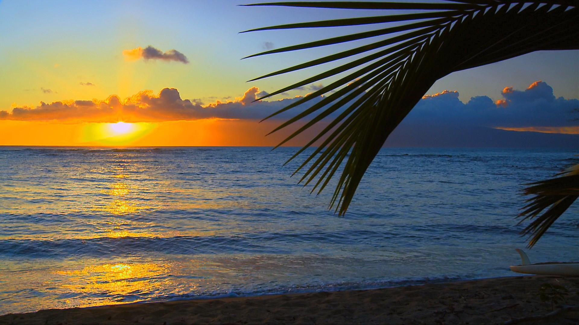 1920x1080 Hawaii Beach Wallpaper HD Wallpaper