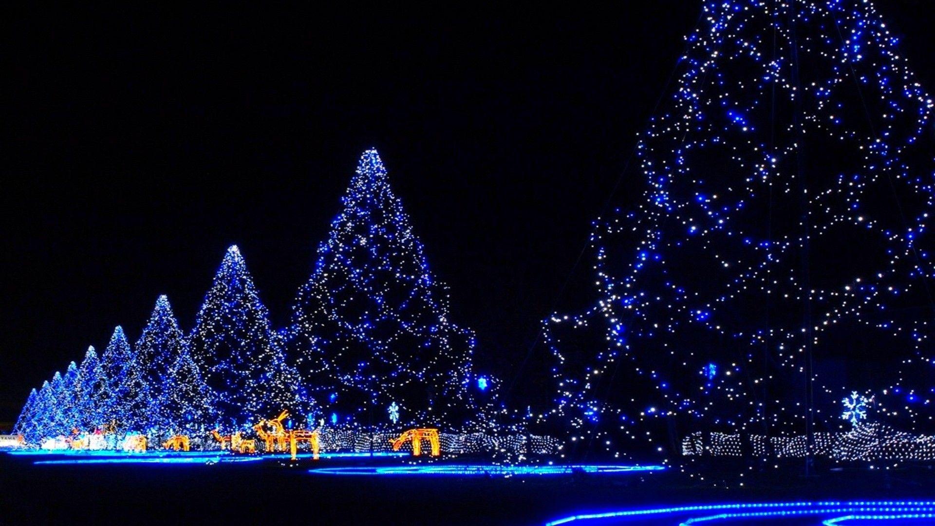 1920x1080 Christmas trees Japan. Christmas tree wallpaper, Christmas lights wallpaper, Blue christmas lights