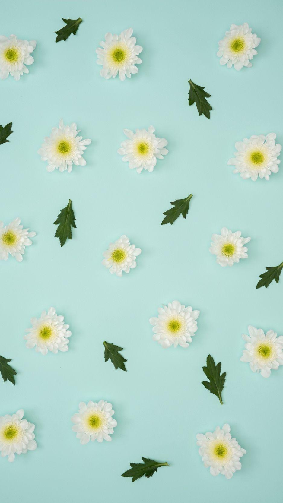 938x1668 Download wallpaper 938x1668 chamomile, leaves, minimalism, pastel