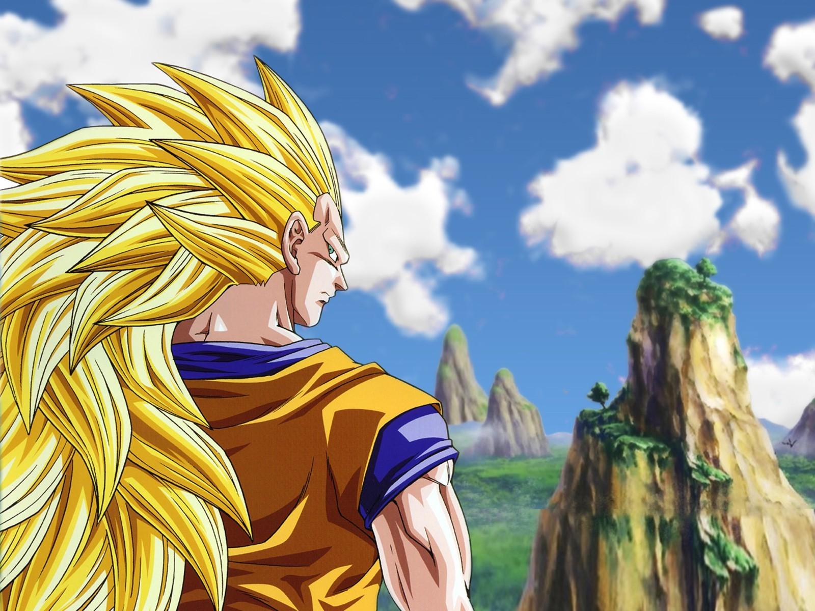 1600x1200 1600x1200 dragon ball dragon ball z super saiyan 3 anime vegeta wallpaper JPG 437 kB