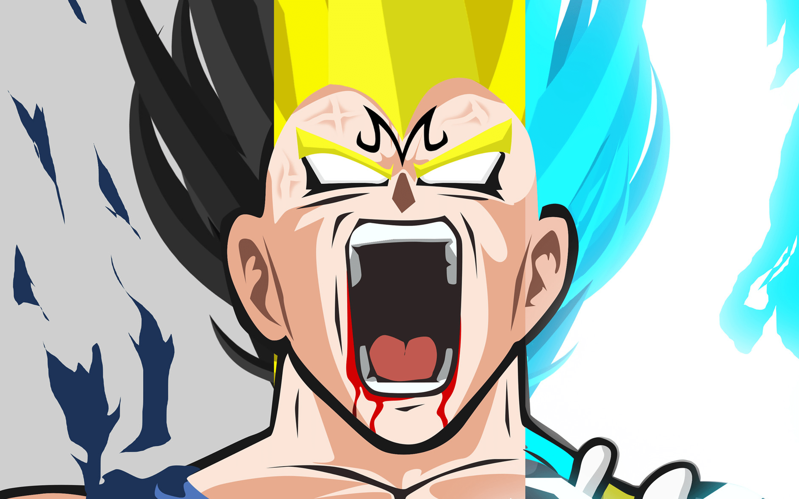 2560x1600 Dragon Ball Super HD Wallpaper