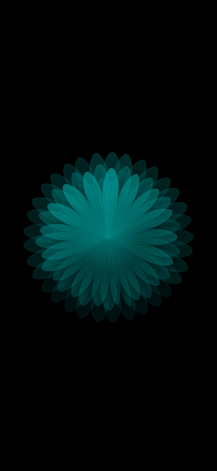 739x1600 Flower AMOLED Wallpaper, HD Flower AMOLED Background