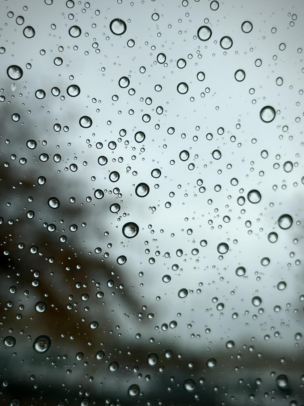 Rain Droplets Wallpapers - Top Free Rain Droplets Backgrounds ...