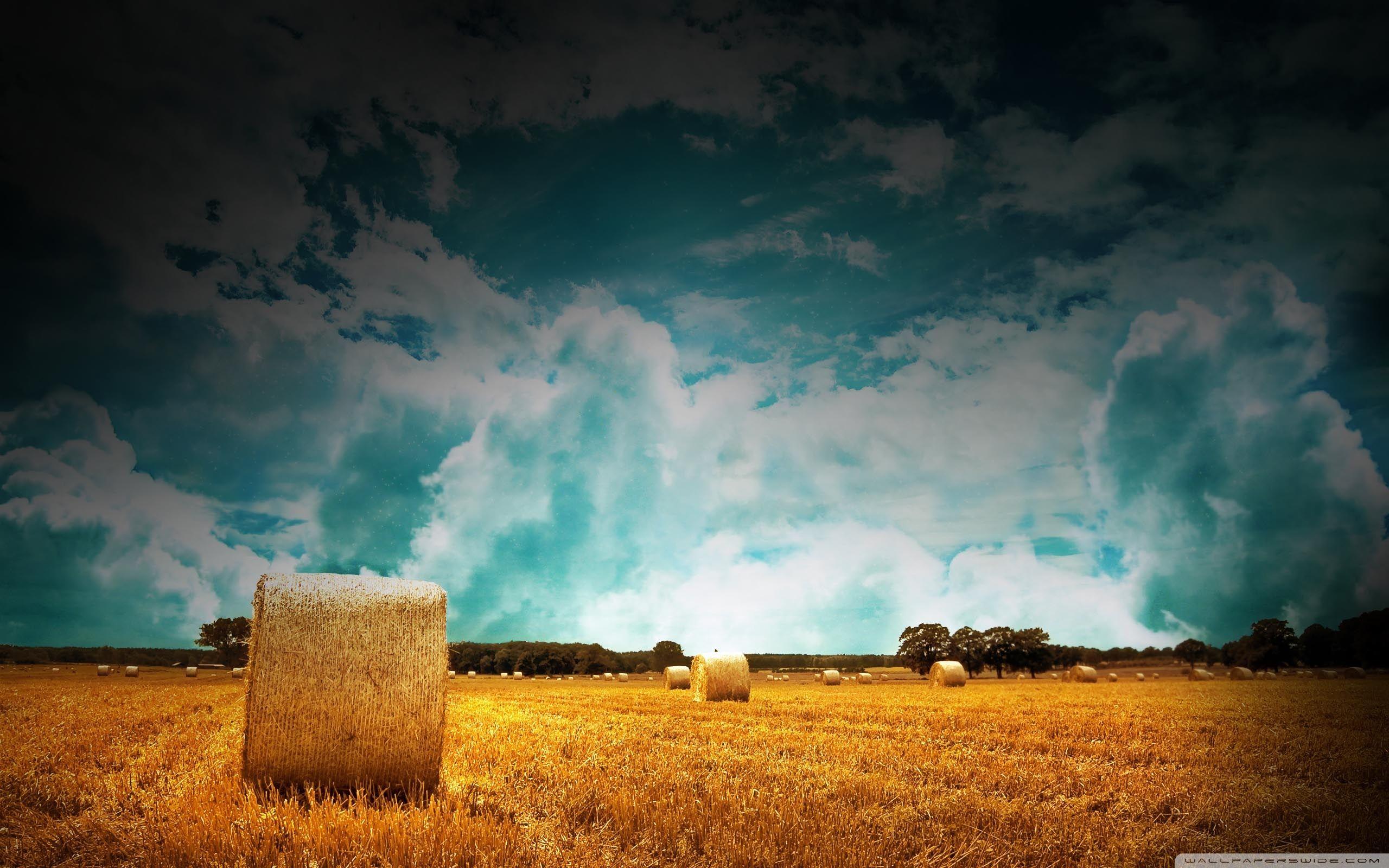 Farmland Wallpapers - Top Free Farmland Backgrounds - WallpaperAccess