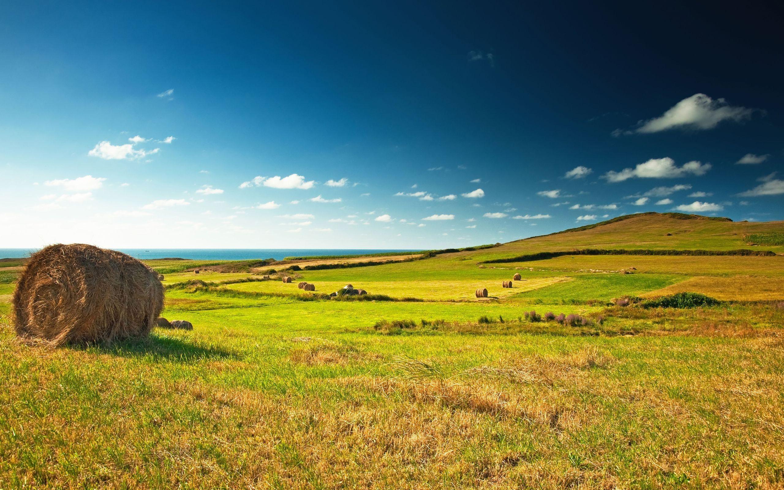 2560x1600 farm. I Like To Waste My Time