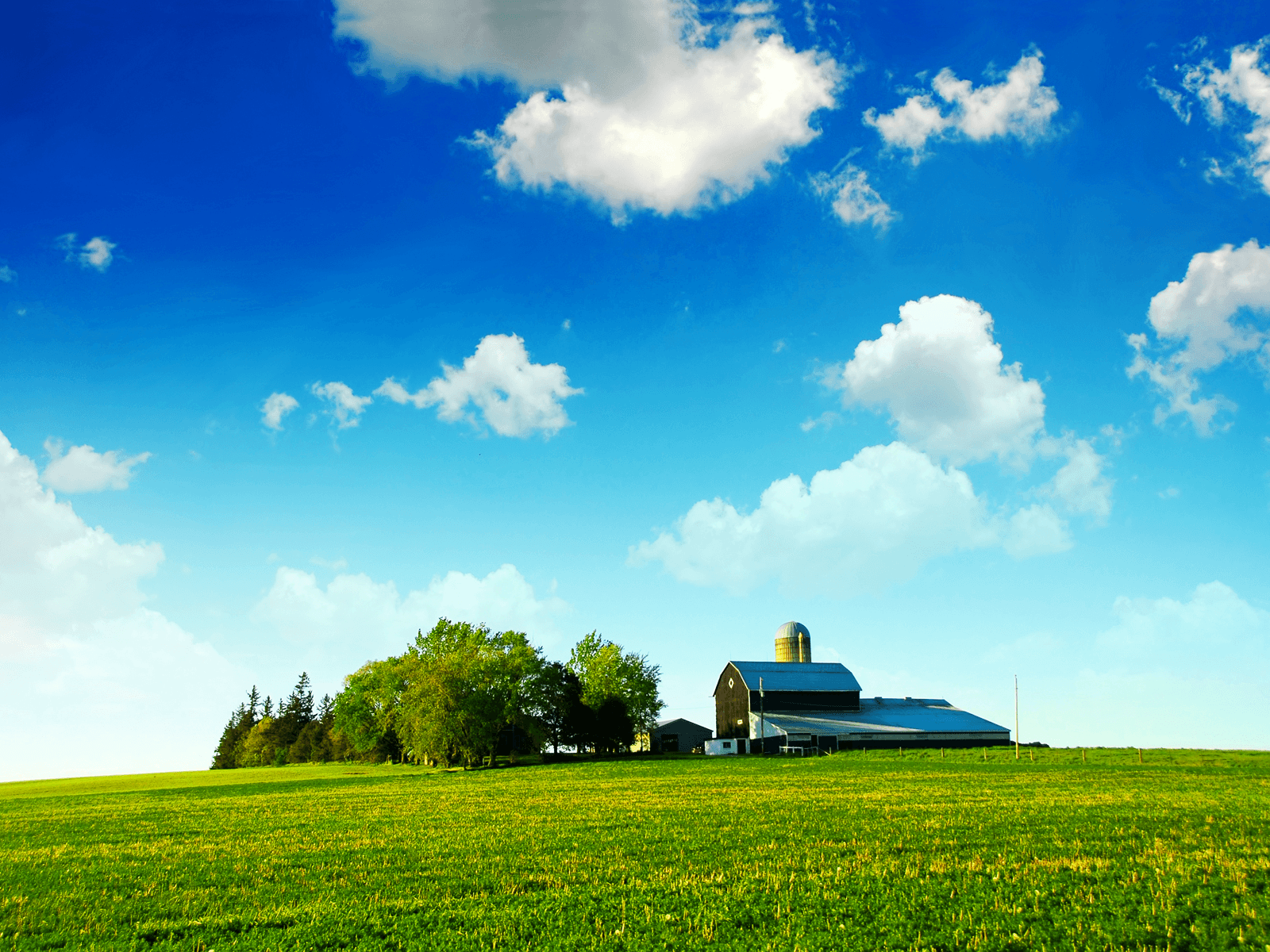 Farmland Wallpapers - Top Free Farmland Backgrounds - WallpaperAccess