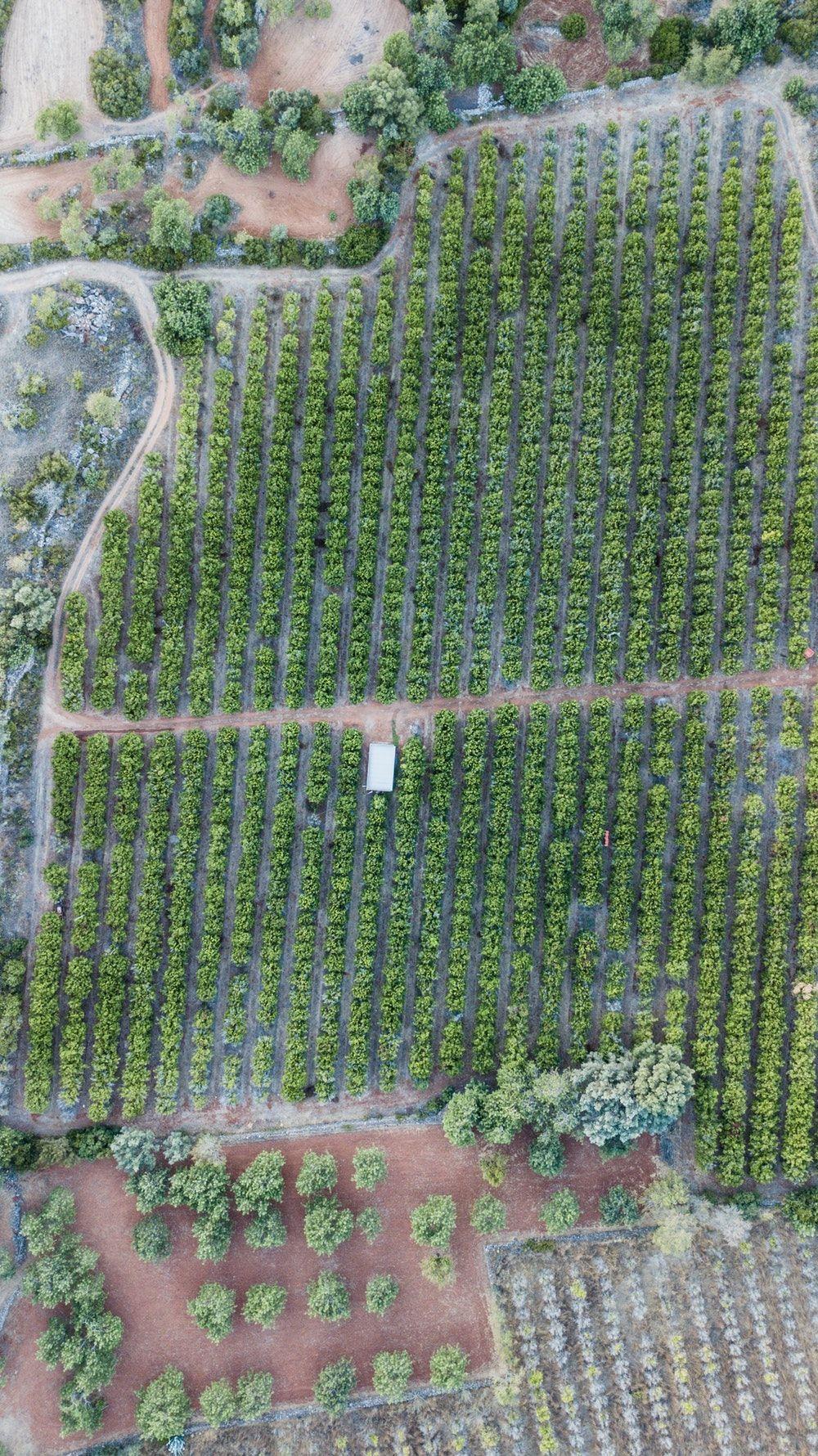 1000x1781 Farmland Picture [HQ]. Download Free Image