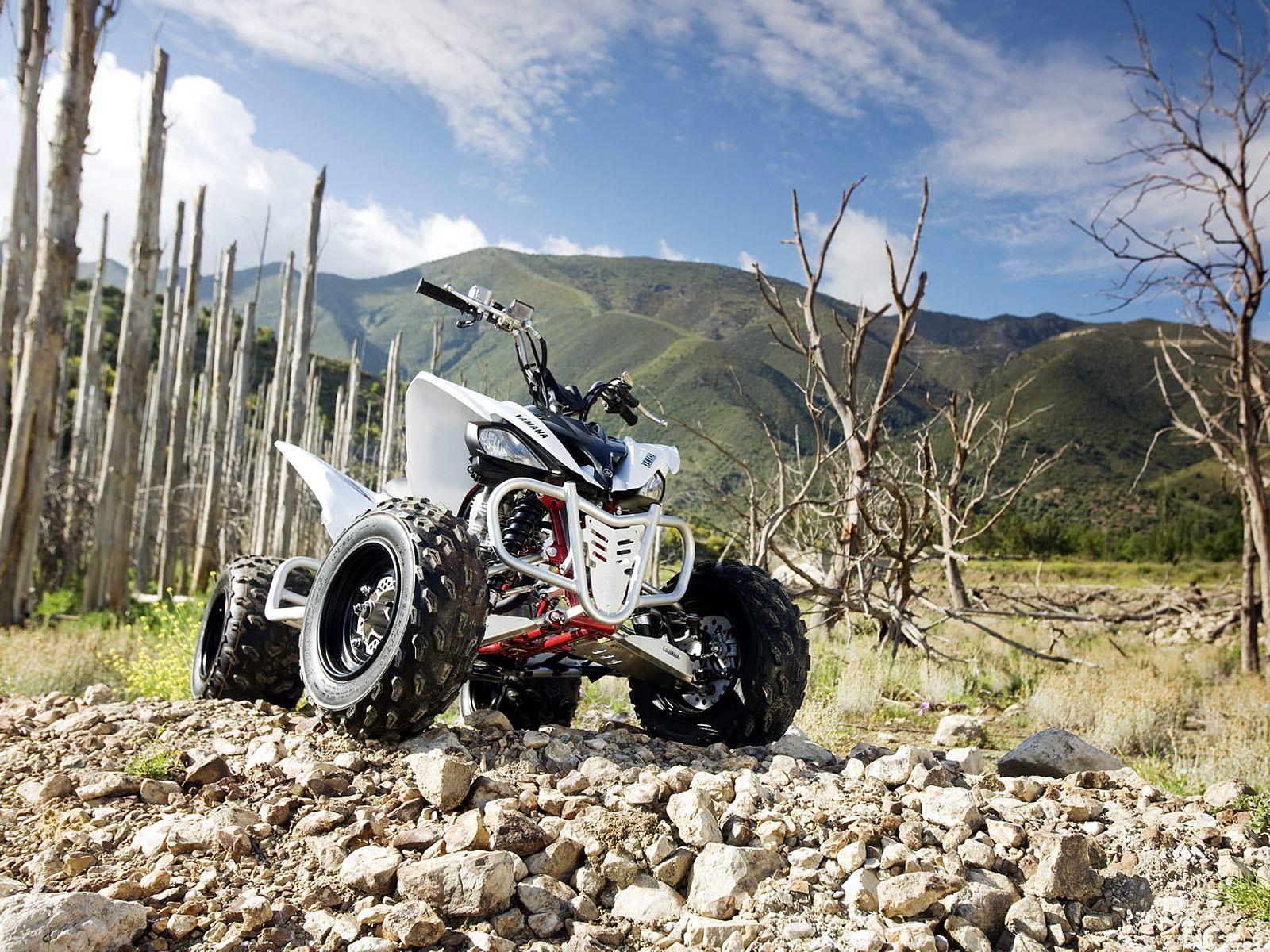 1600x1200 Yamaha Raptor Wallpaper
