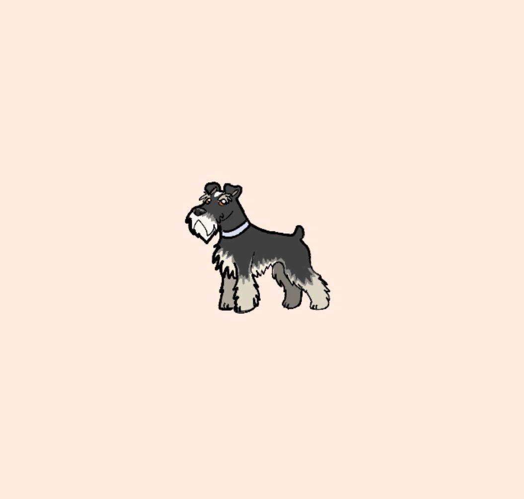 1055x1005 Schnauzer wallpaper. Cute wallpaper, Wallpaper, Cute
