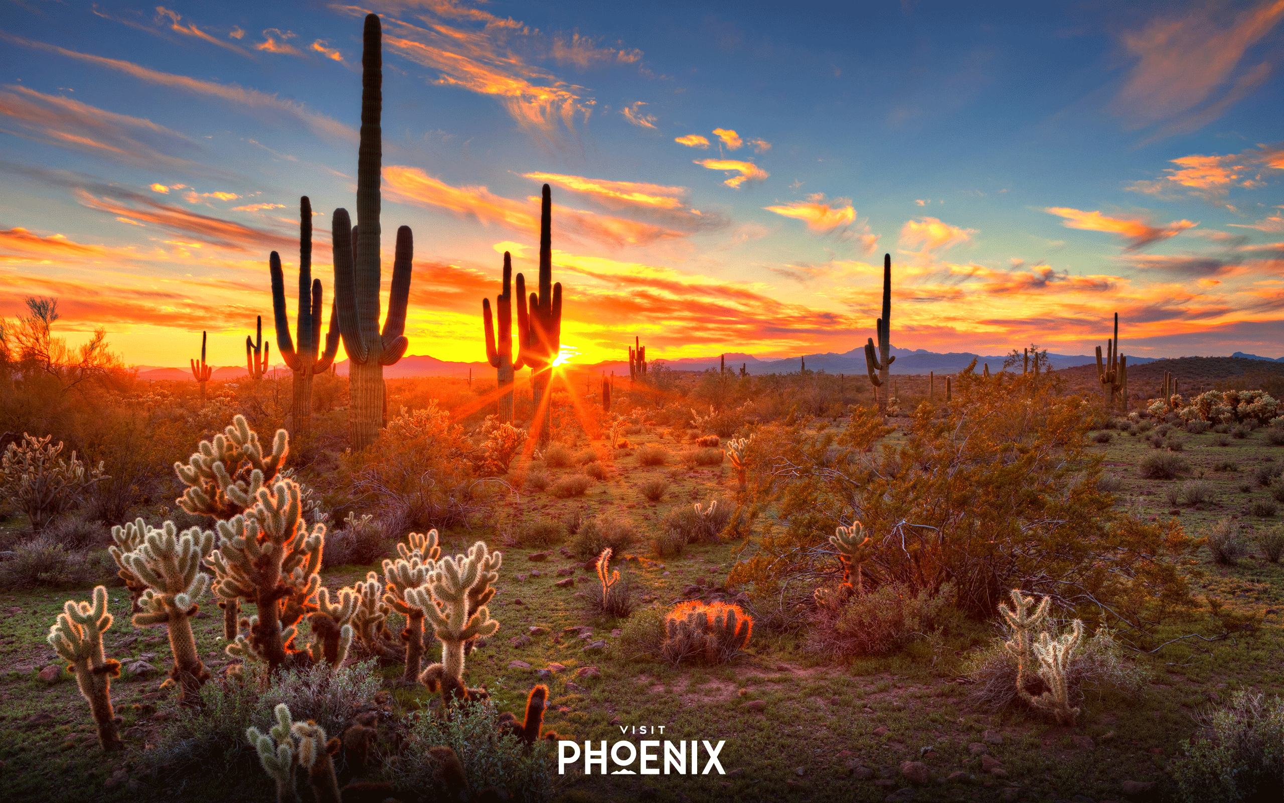 2560x1600 Visit Phoenix Digital Swag. Background, Frames, Playlists