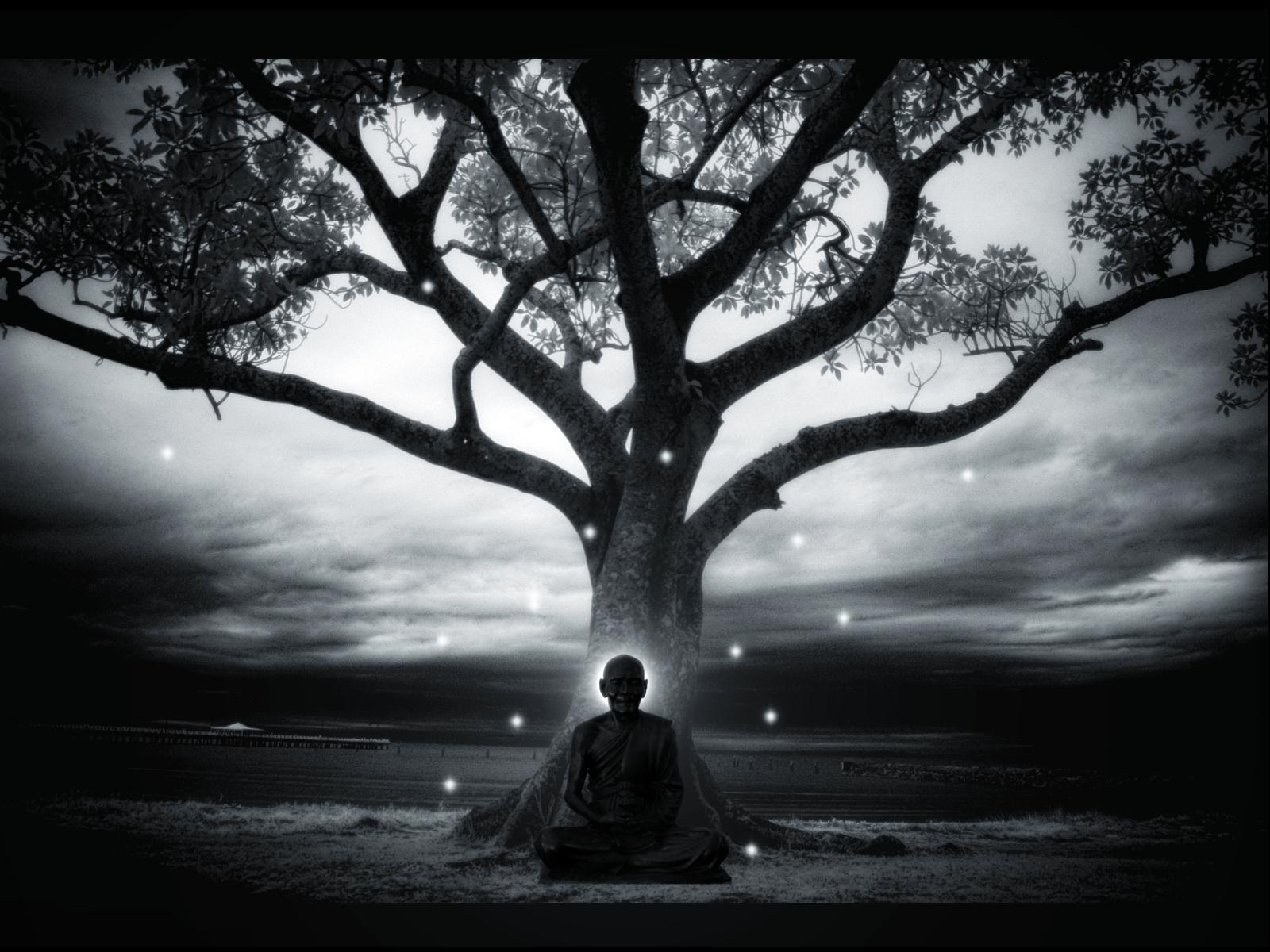 1600x1200 Meditating Wallpaper Buddha HD Wallpaper