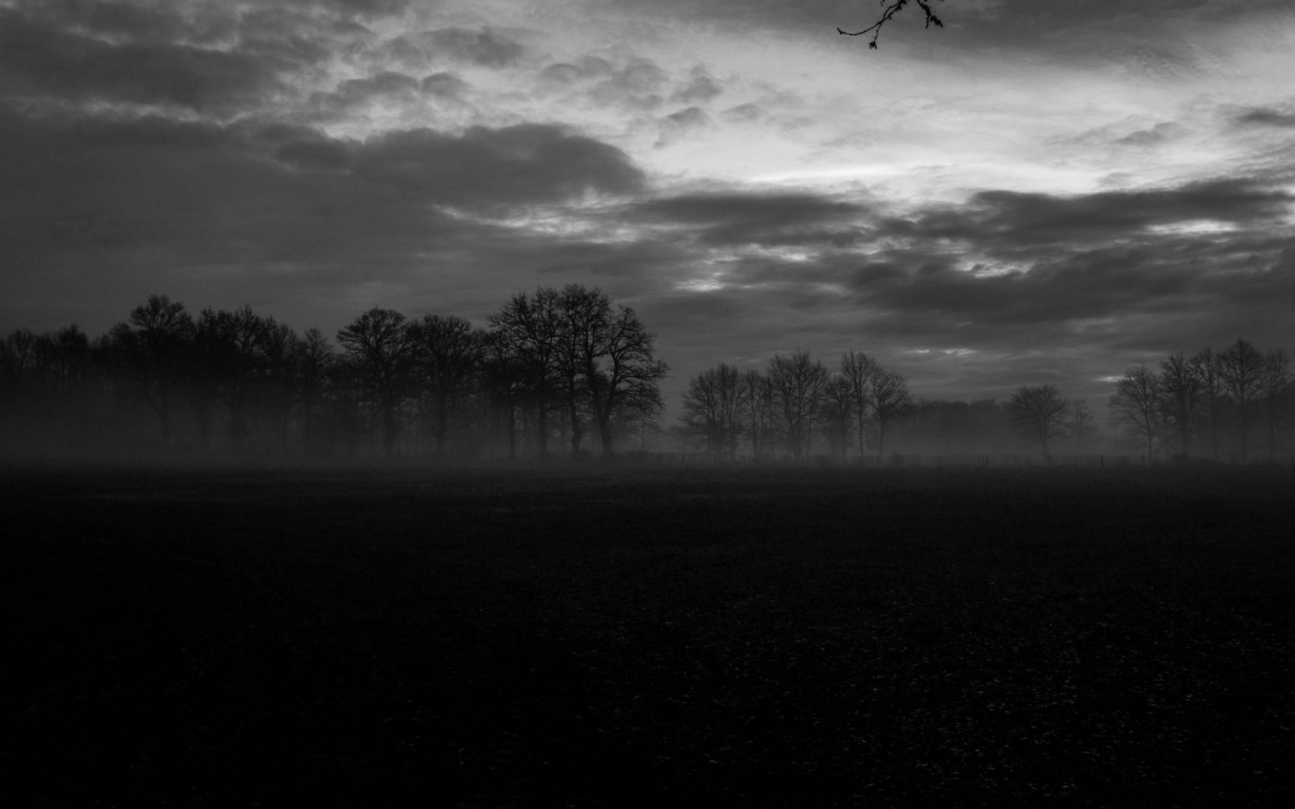 2560x1600 Download 2560x1600 Dark Landscape, Scenery, Monochrome, Fog, Trees Wallpaper for MacBook Pro 13 inch