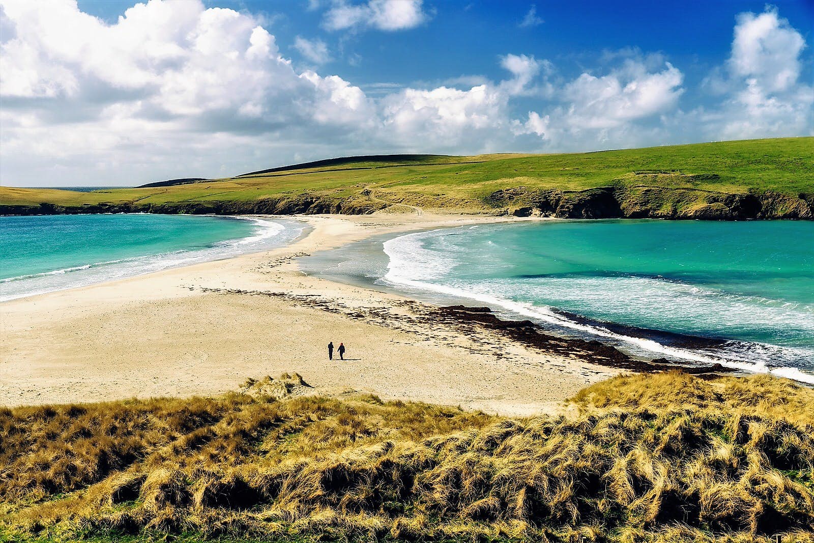 1600x1067 Shetland travel. Scotland, Europe