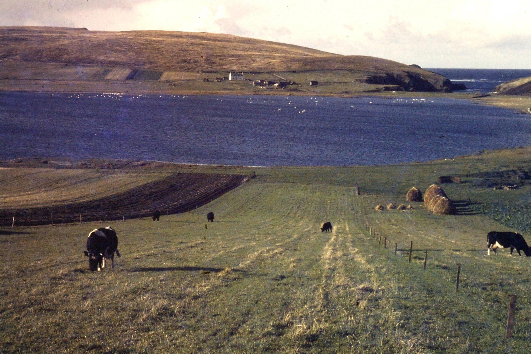 1800x1200 A Glimpse of a Bygone Life on the Shetland Islands, Plucked From the Trash