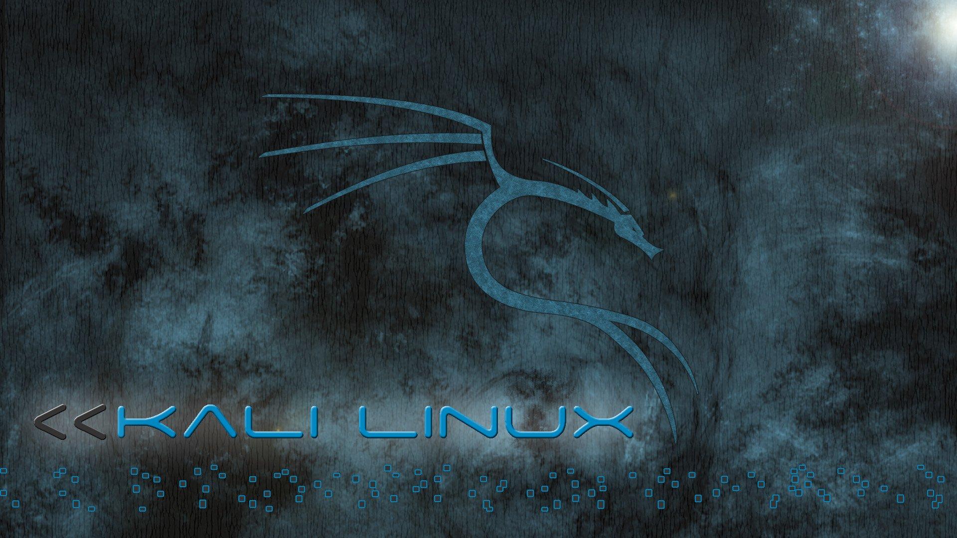 Kali Linux Windows Wallpapers Top Free Kali Linux Windows Backgrounds WallpaperAccess