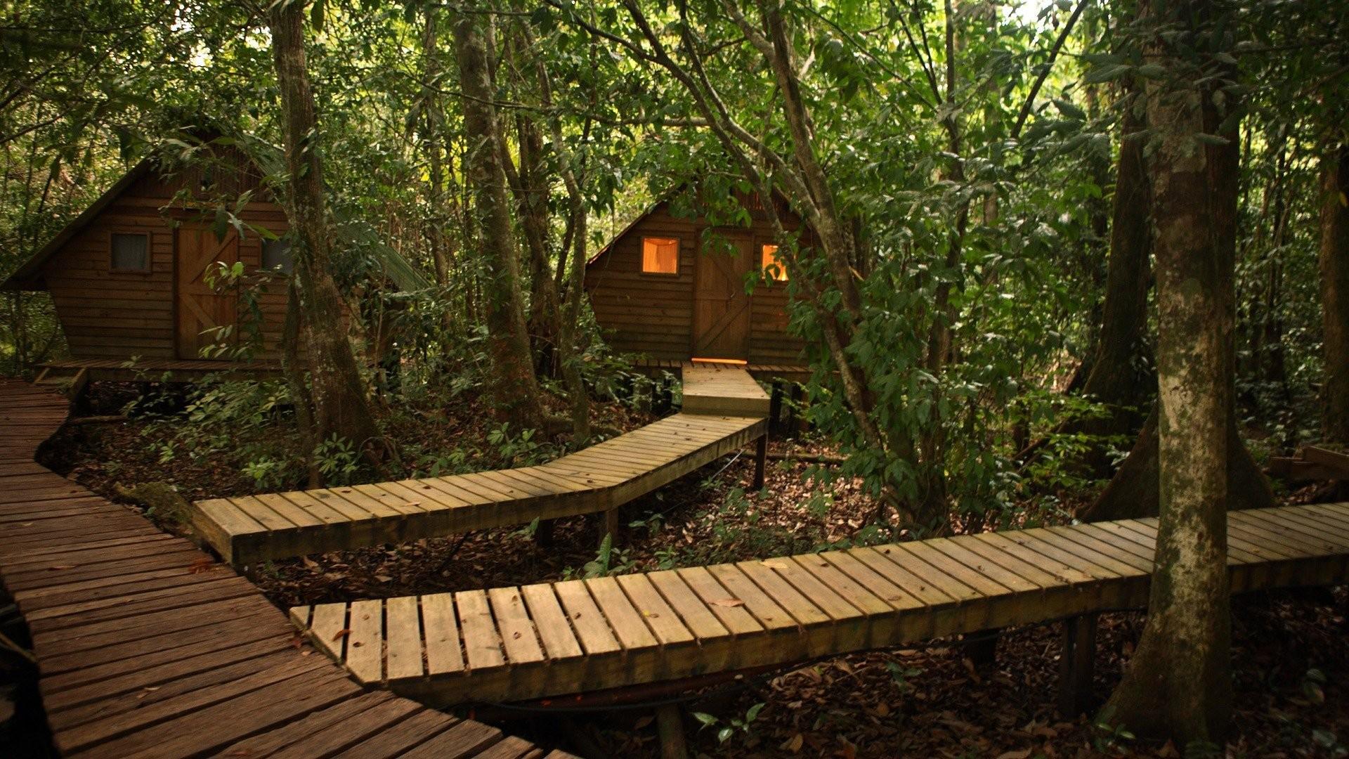 1920x1080 #cabin, #wood, #nature, #lights, #wooden surface, #leaves, #landscape, #trees, #jungle, #South America, #forest, #Guatemala, wallpaper. Mocah HD Wallpaper