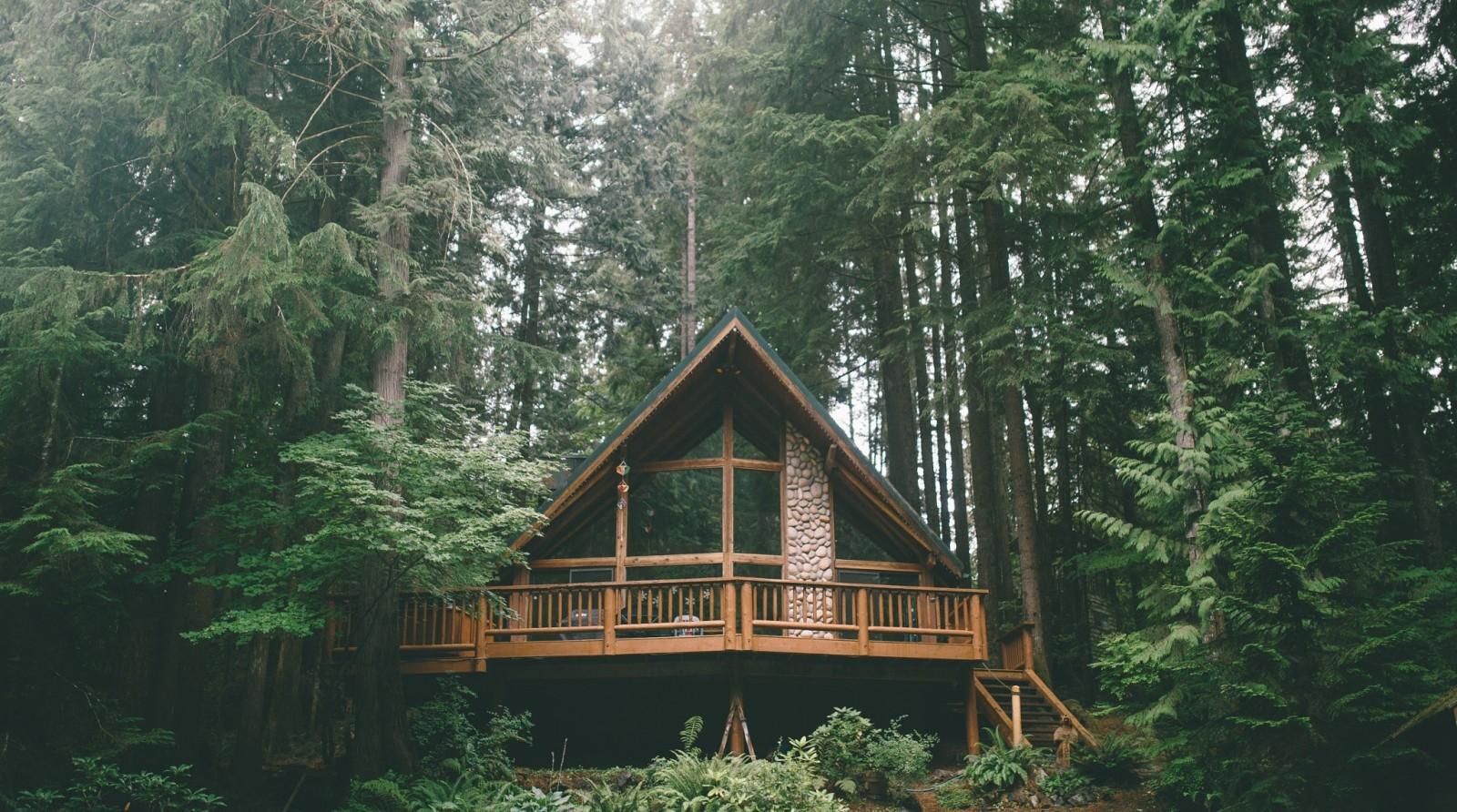 1600x892 forest, nature, building, house, hut, wilderness, jungle, tree house, rainforest, cottage, tree, woodland, habitat, natural environment, log cabin. Mocah HD Wallpaper