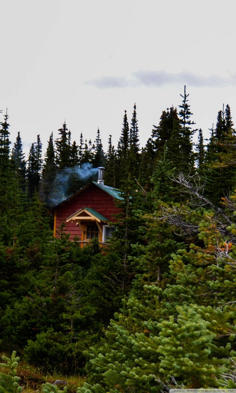 768x1280 Cabin In The Woods Ultra HD Desktop Background Wallpaper for 4K UHD TV : Widescreen & UltraWide Desktop & Laptop : Tablet