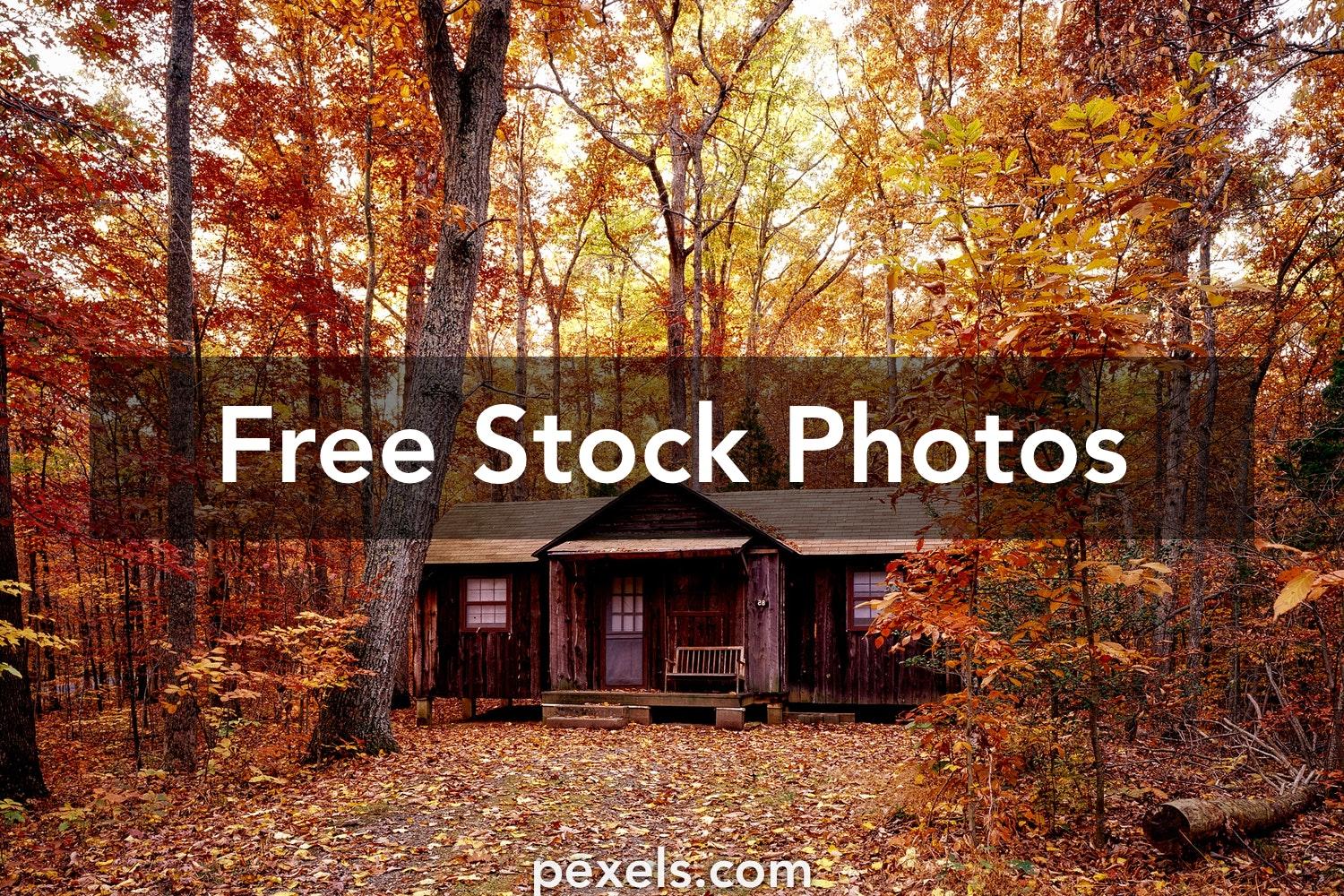 1500x1000 Best Log Cabin Photo · 100% Free Downloads