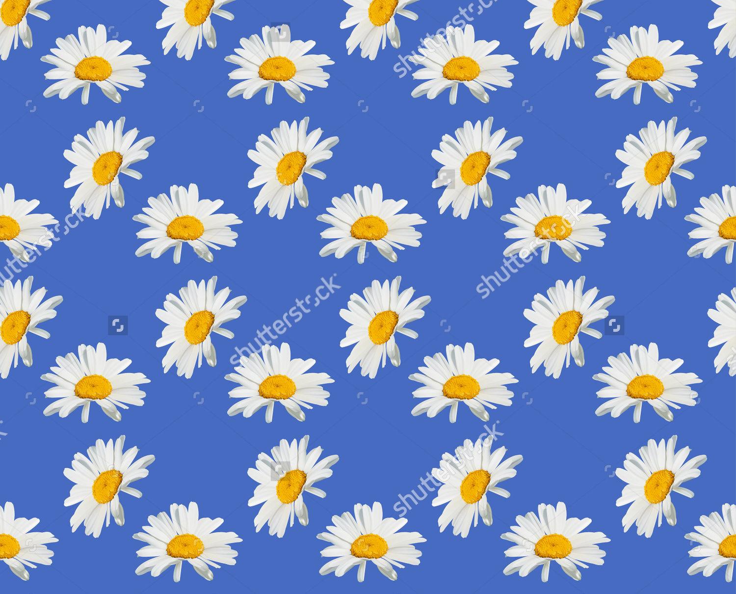 Blue Daisy Wallpapers - Top Free Blue Daisy Backgrounds - WallpaperAccess