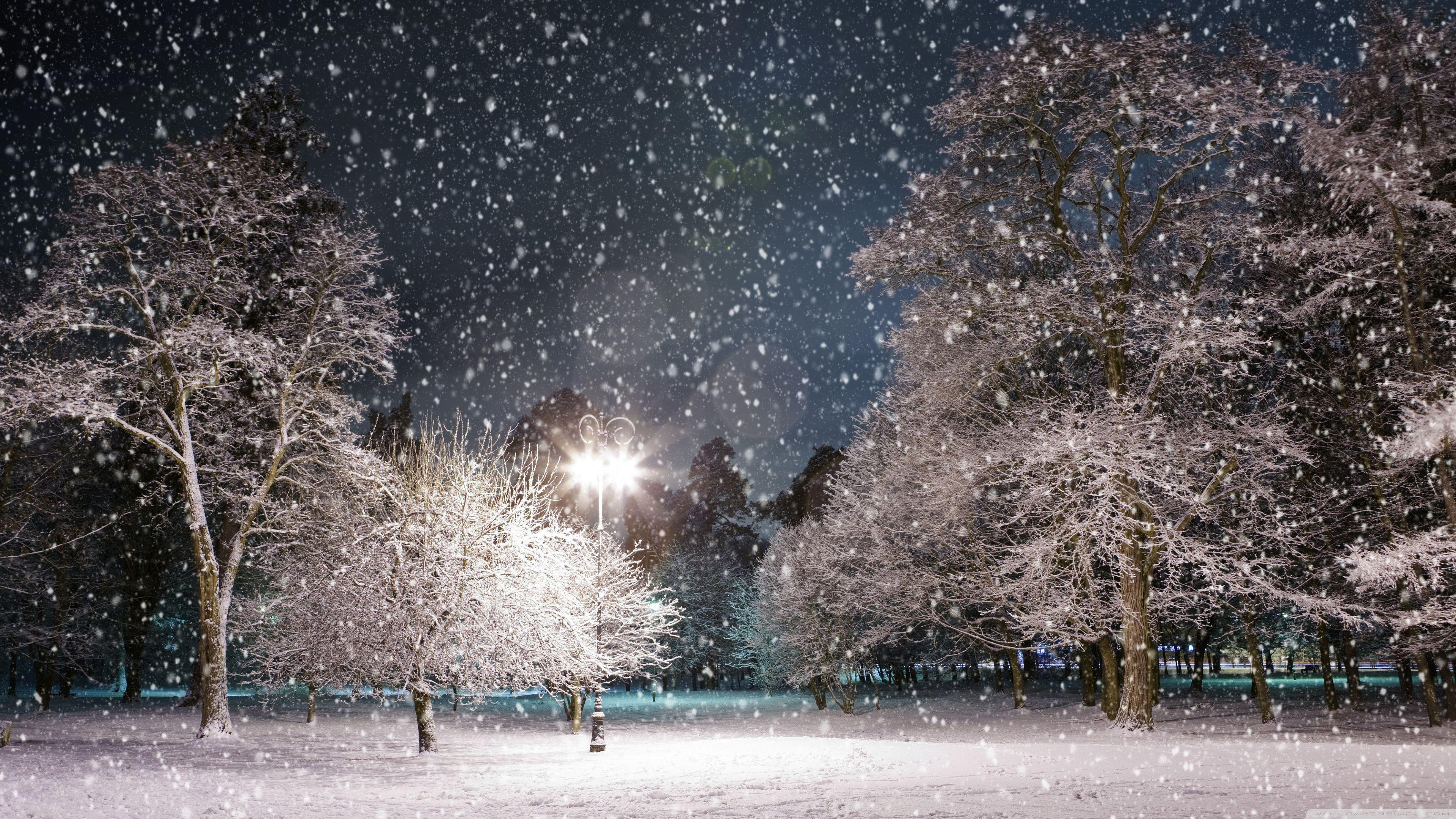 3840x2160 Ultra HD Winter Night Wallpaper