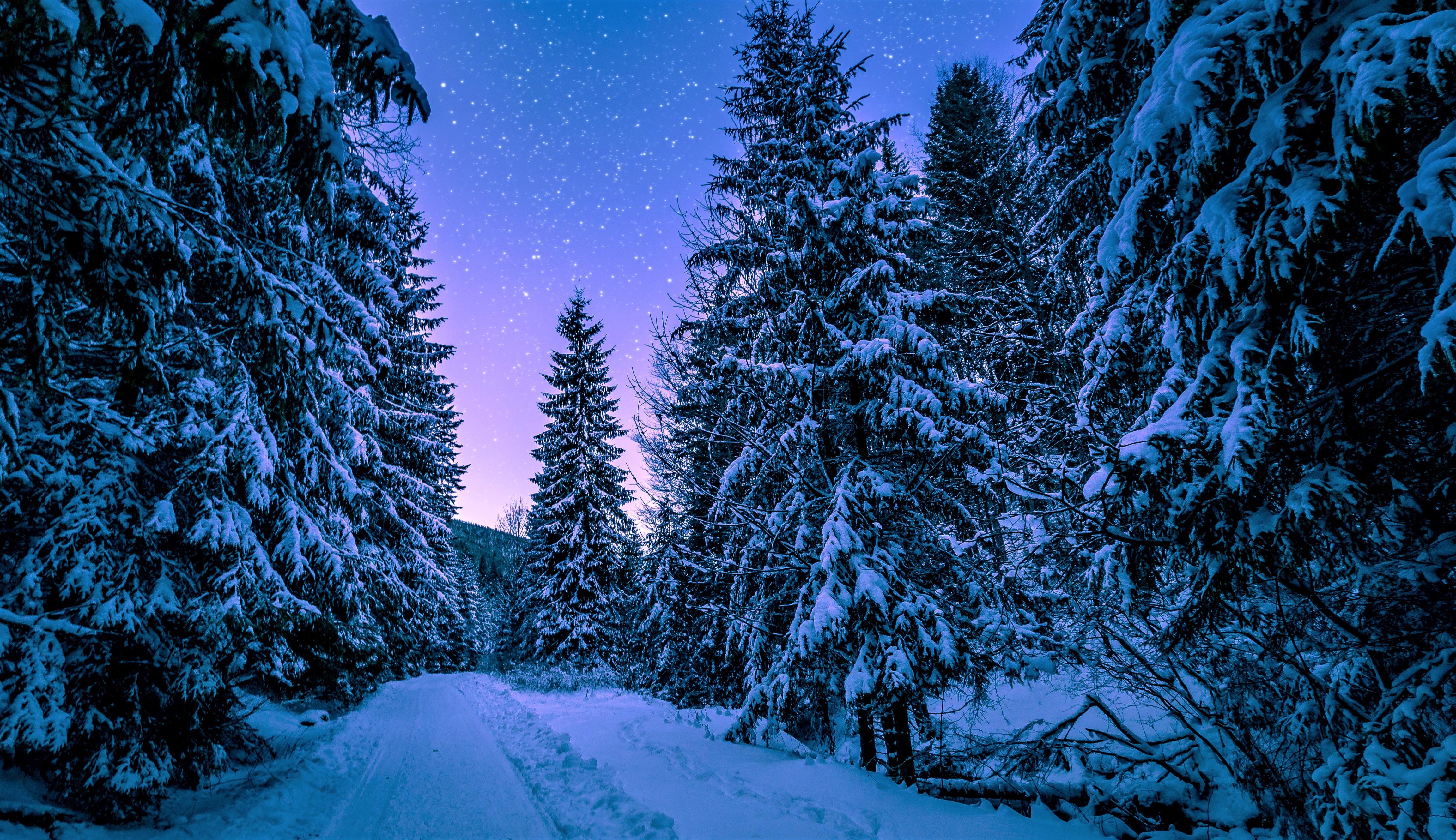 4608x2660 Starry Winter Night 4k Ultra HD Wallpaper