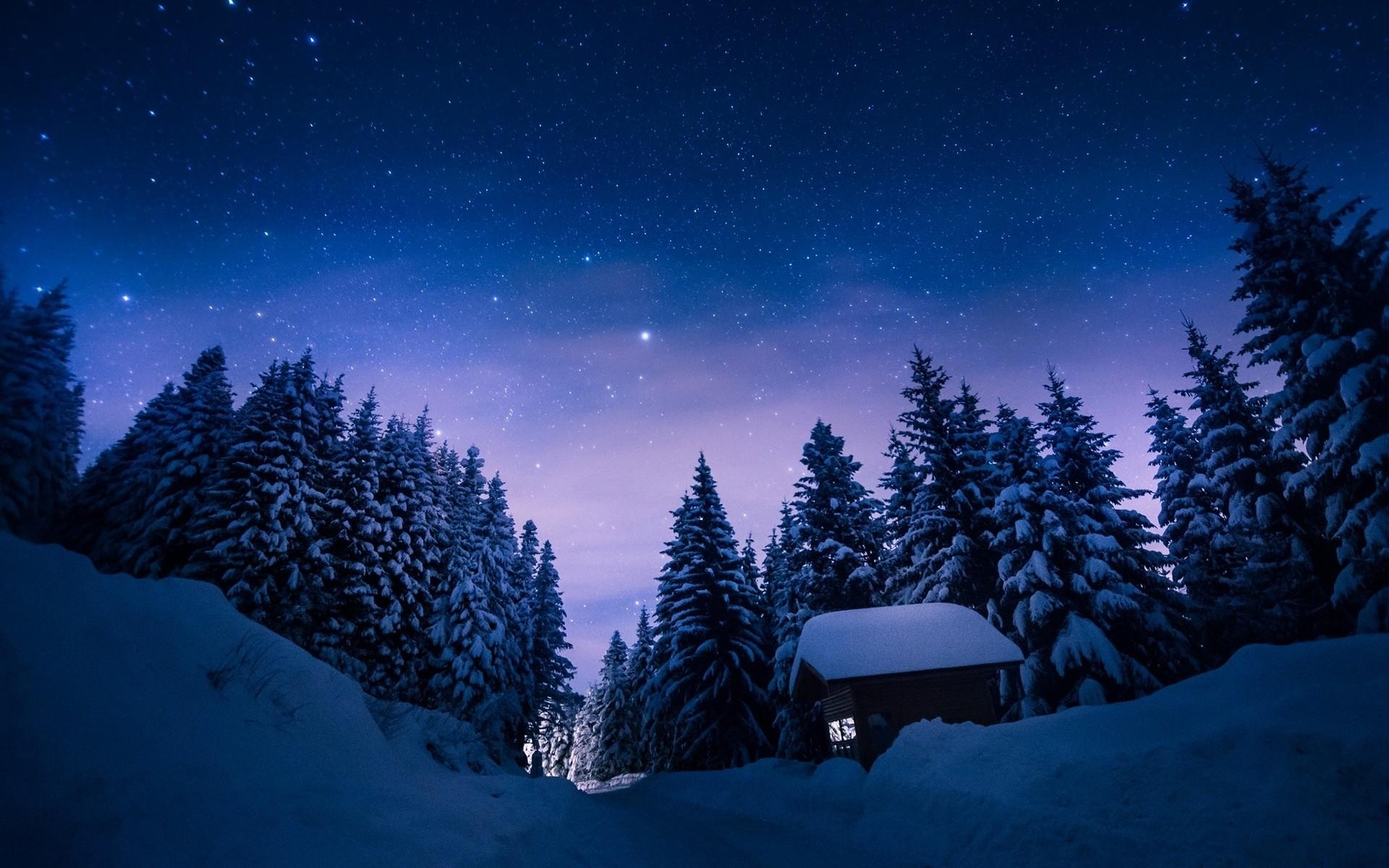 1920x1200 Desktop Wallpaper Snowy Night Scenes