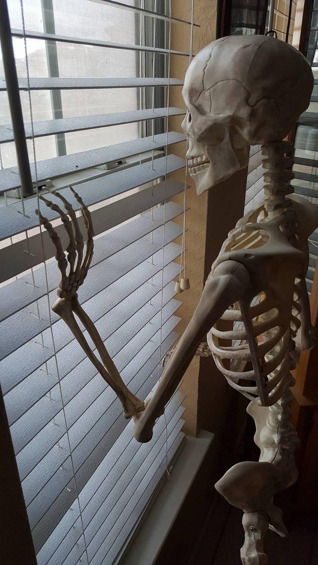 1080x1920 I see u. Funny skeleton, Medical wallpaper, Spooky memes