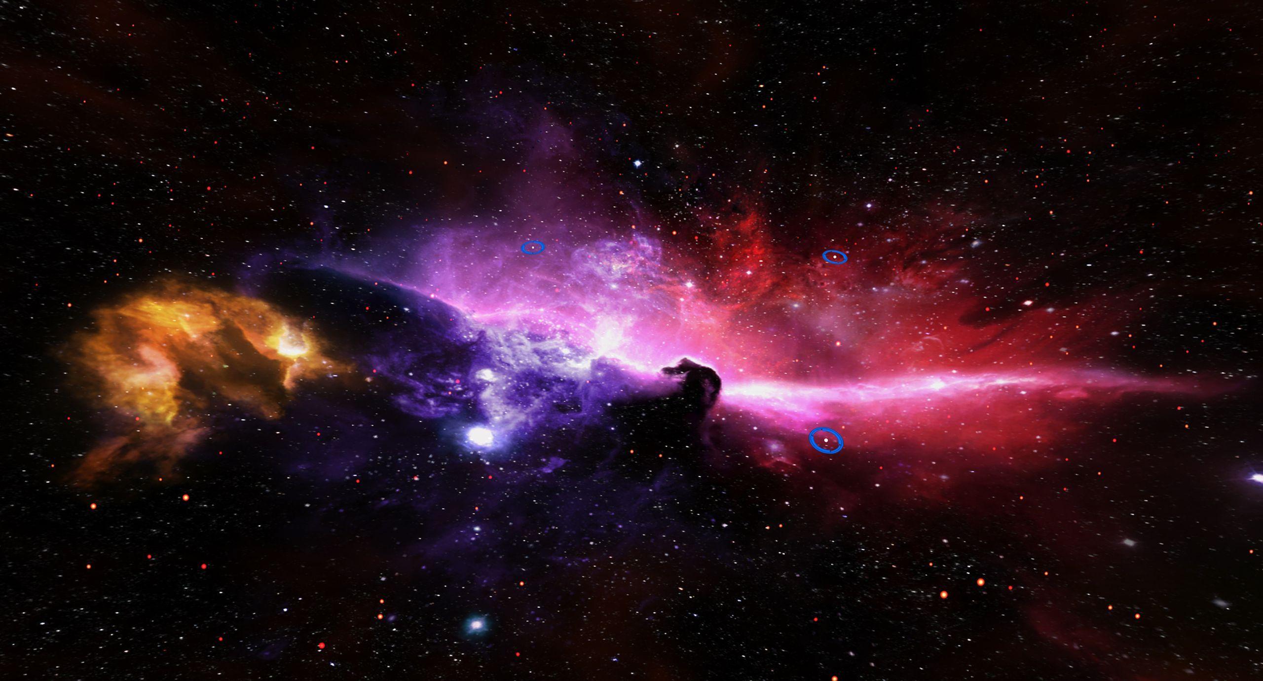 Horse Galaxy Wallpapers Top Free Horse